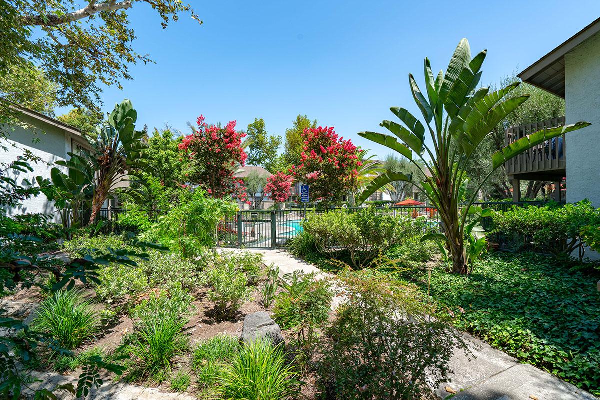 a house with bushes in front of a palm tree