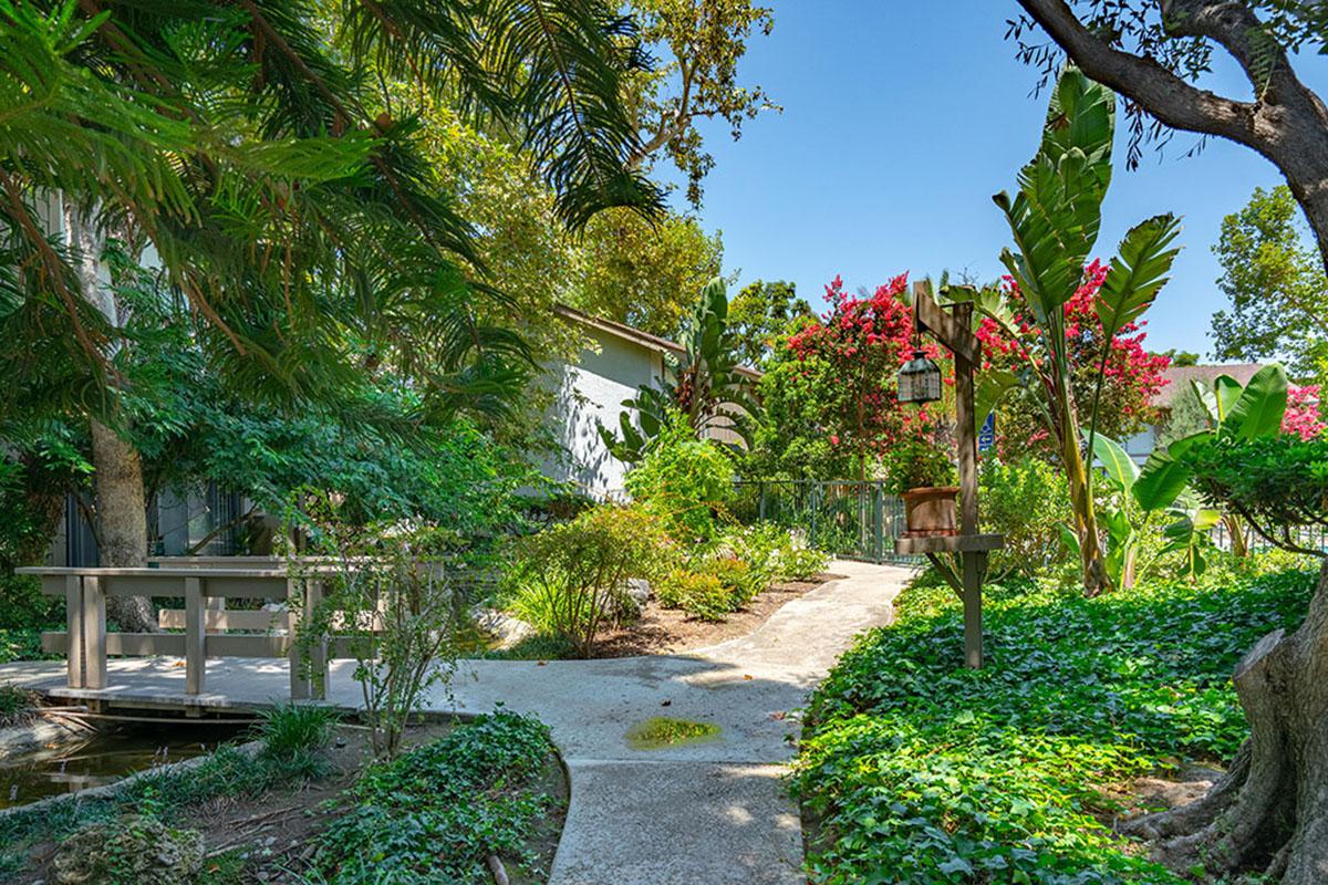 a large tree in a garden