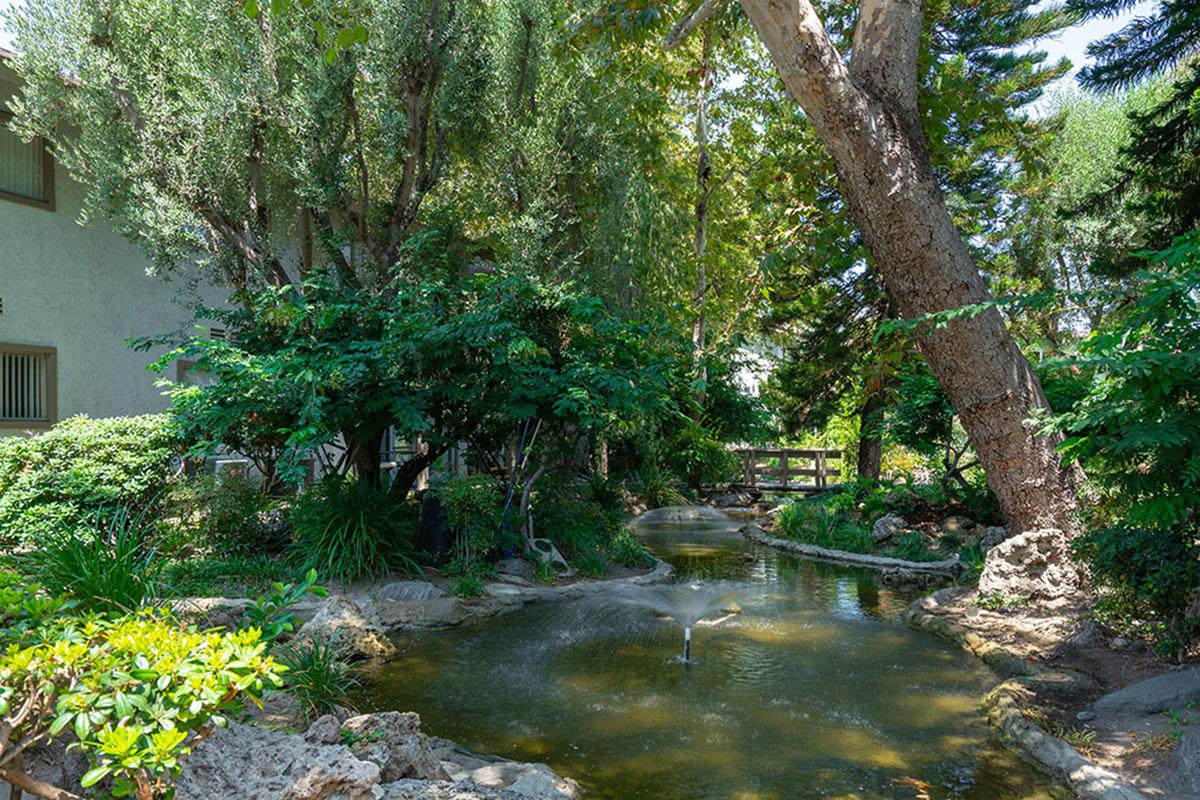 a river running through a forest