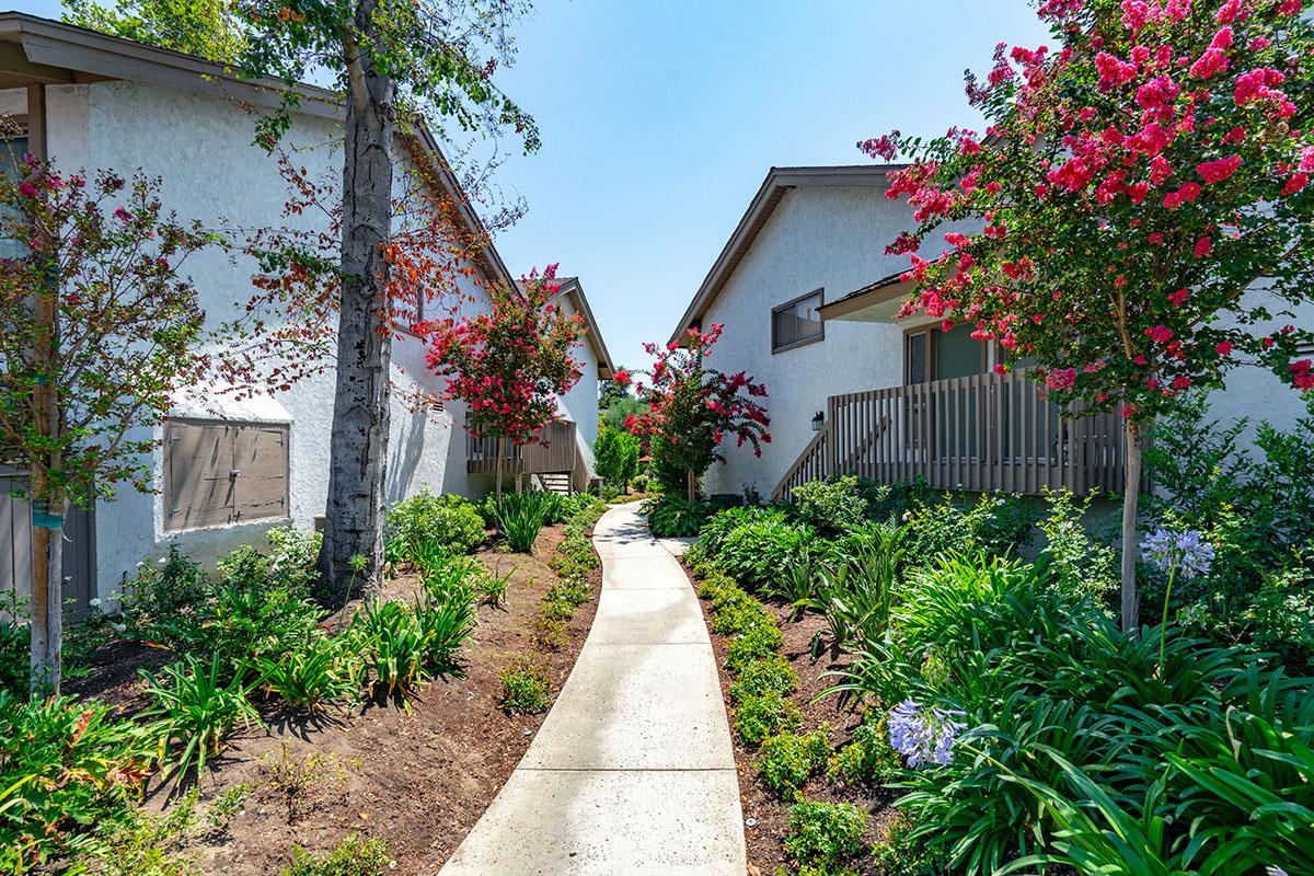 a close up of a flower garden in front of a house