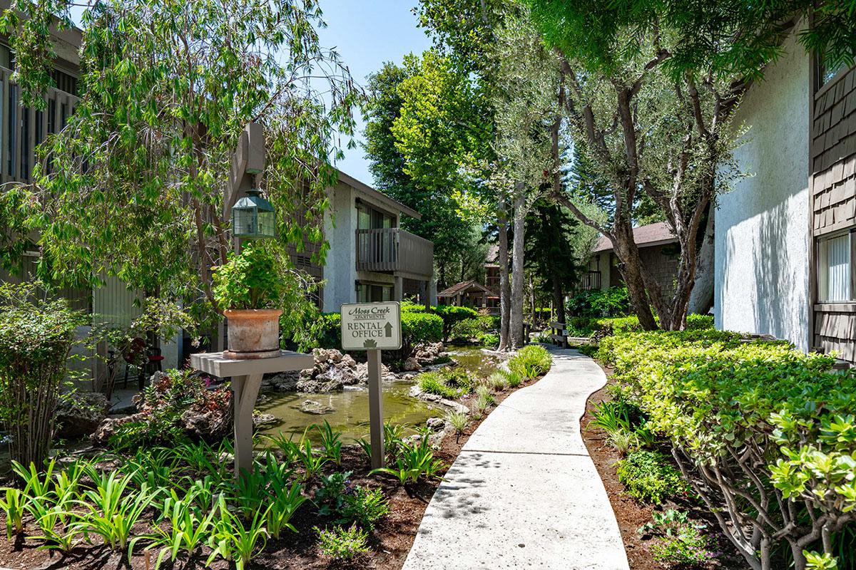 a path with trees on the side of a building