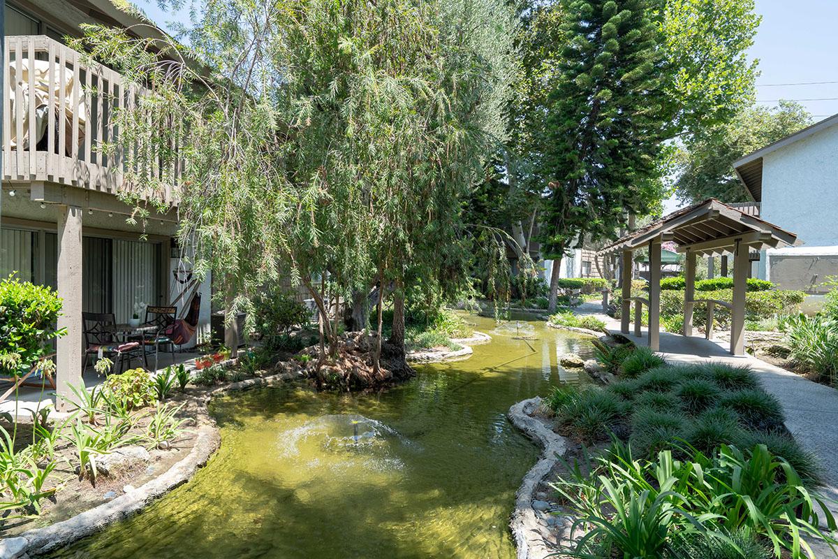 a garden in front of a house