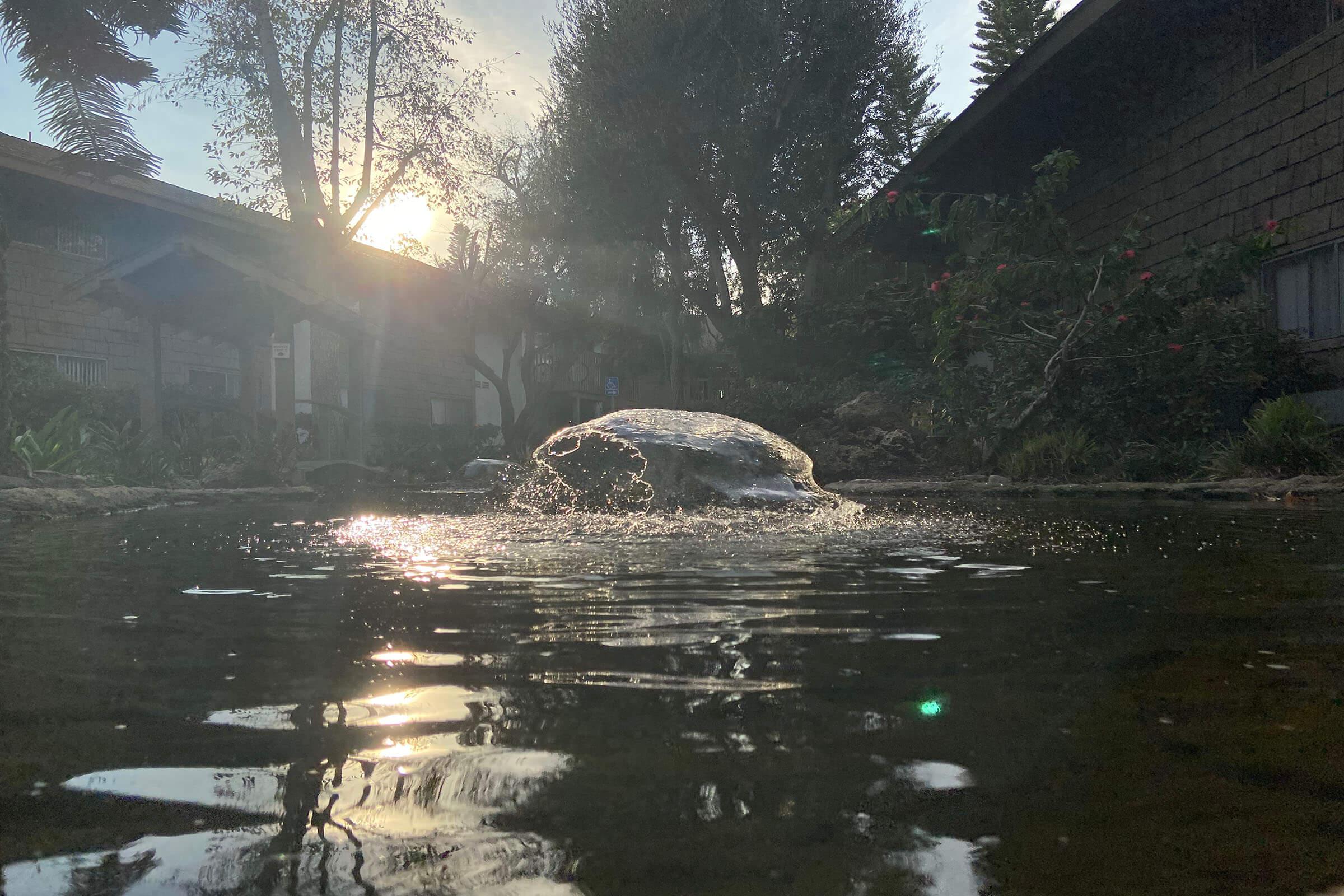 water in the community creek