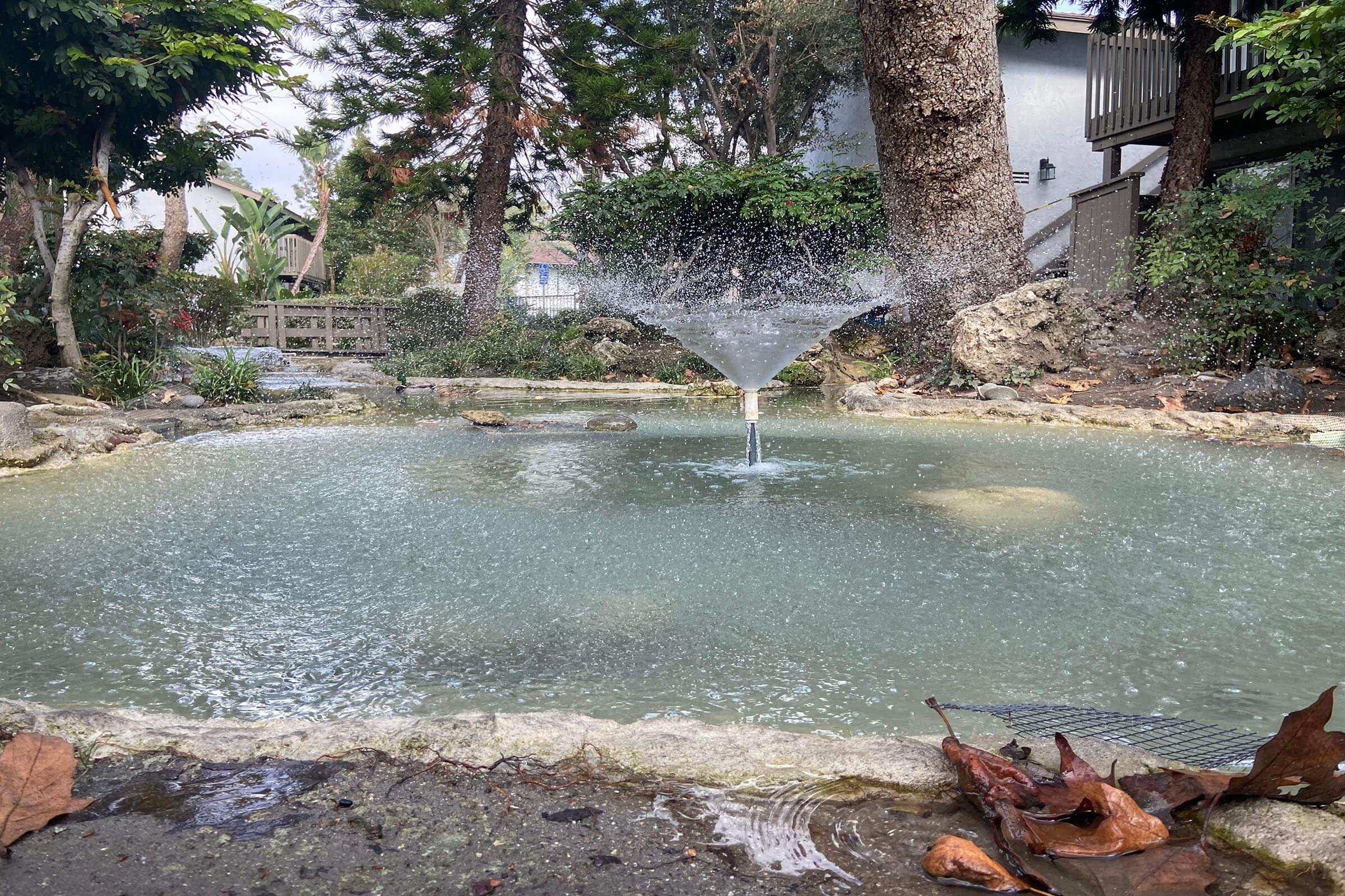 water feature in the creek