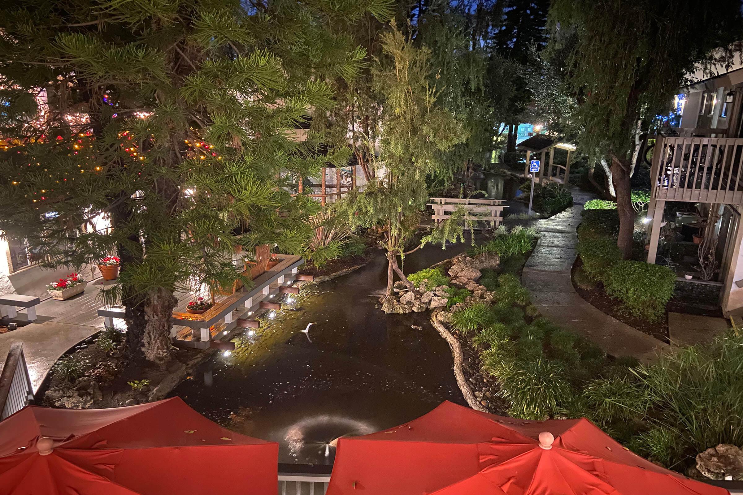 community creek surrounded by green landscaping at night