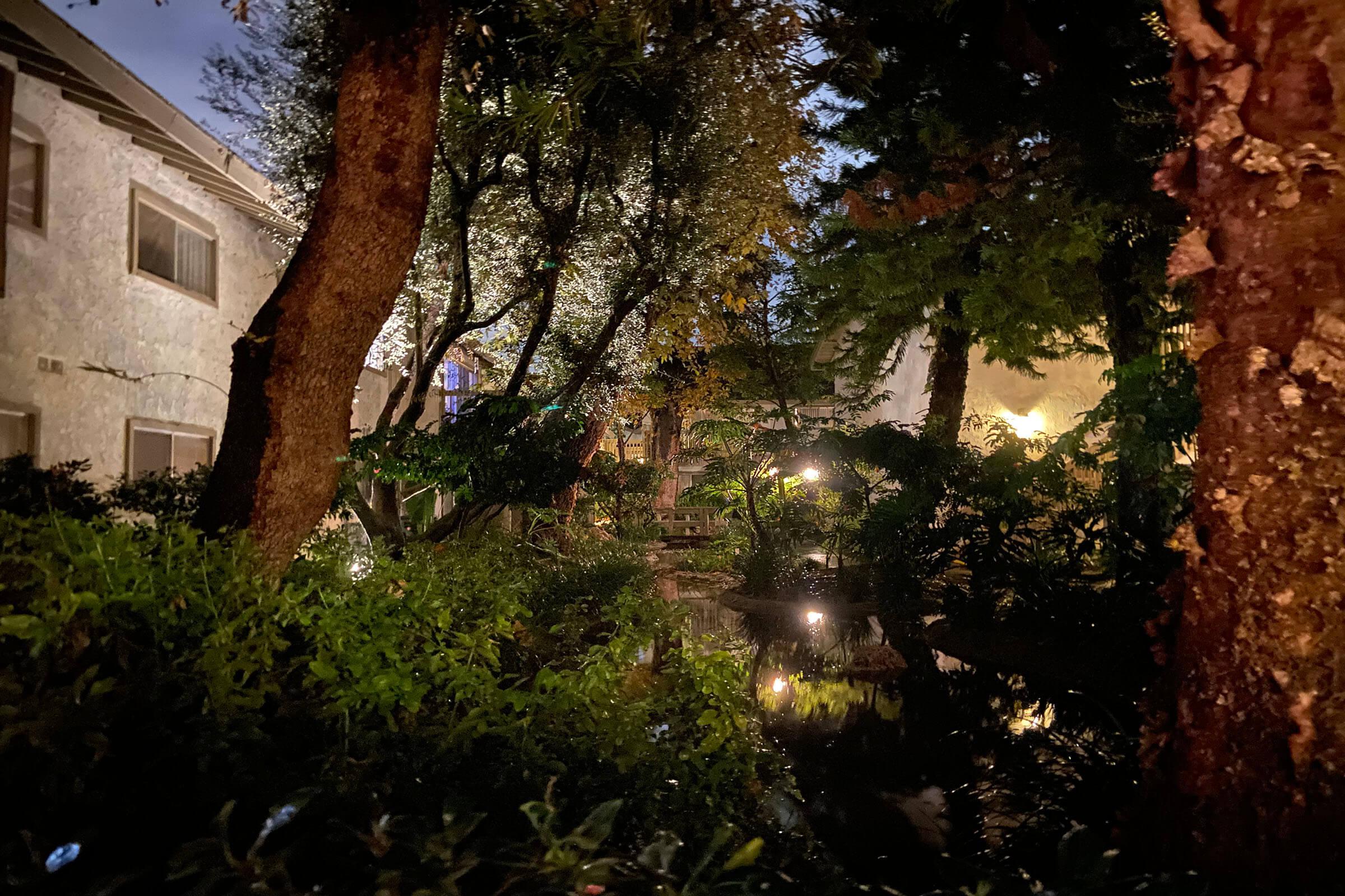 greenery next to a community building at night