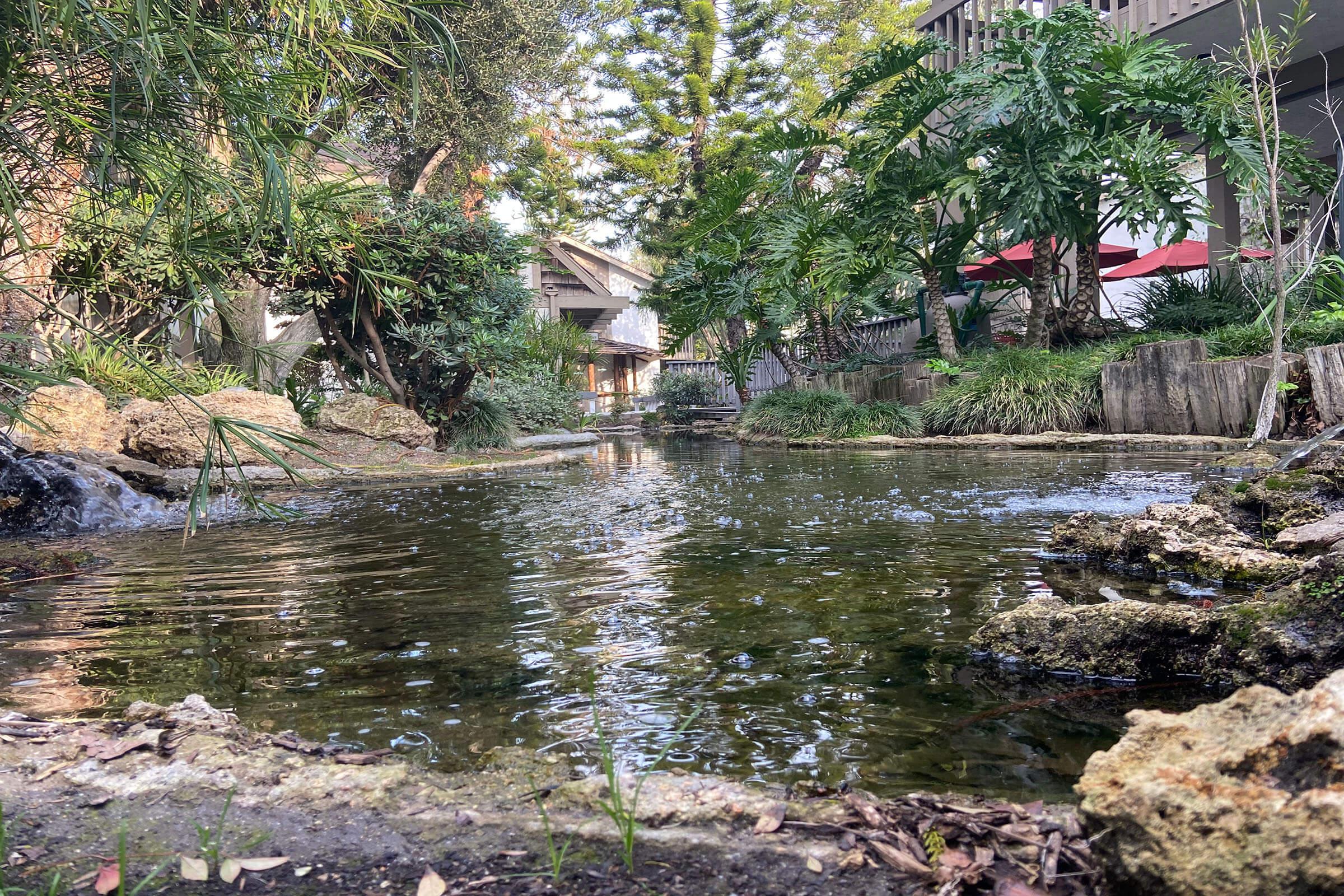 rocks and water in the community creek