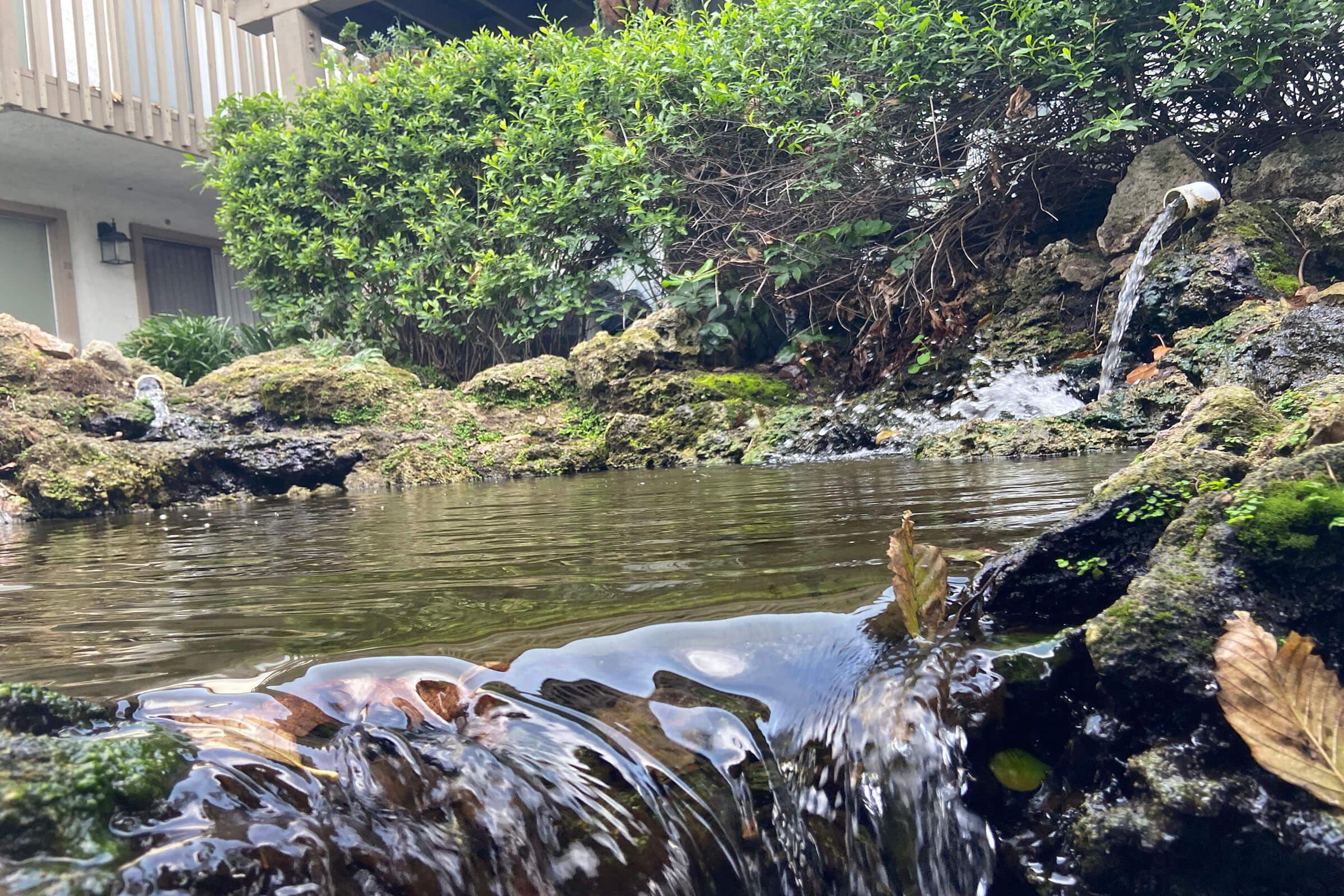 a waterfall in the community creek