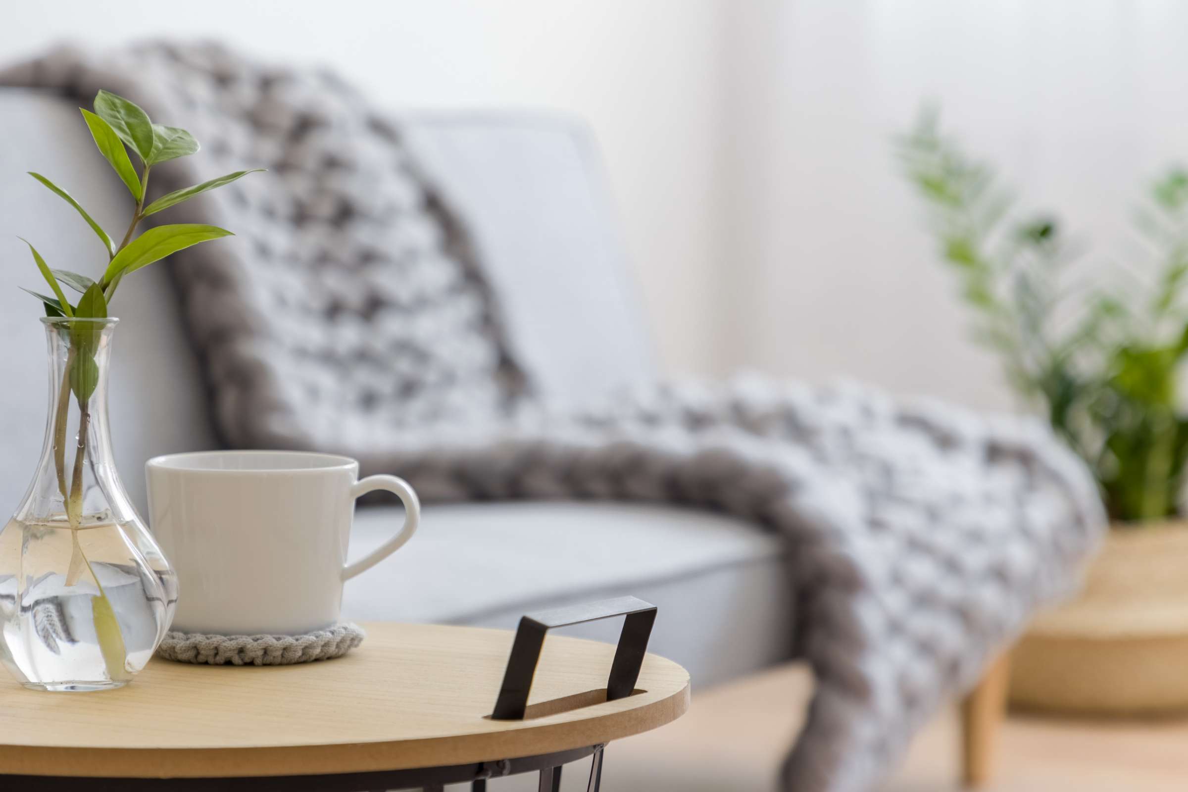 Home Alta Vista Towers Weslaco, TX