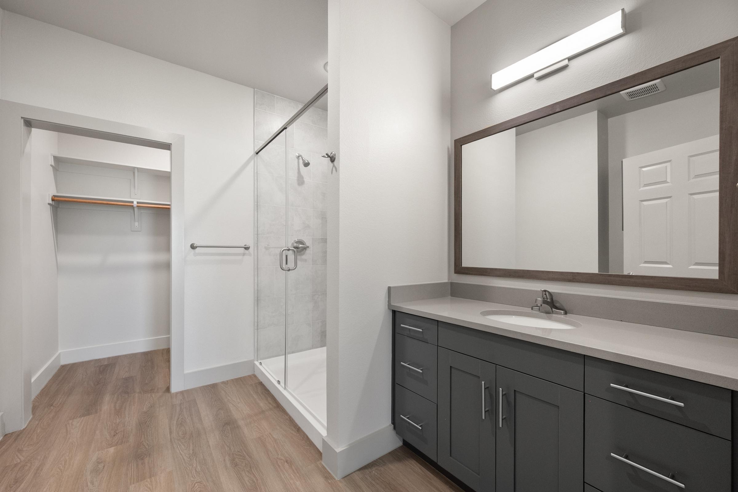 Bathroom in the A1 Floor Plan featuring a spacious walk-in shower, contemporary vanity, and access to a large walk-in closet.