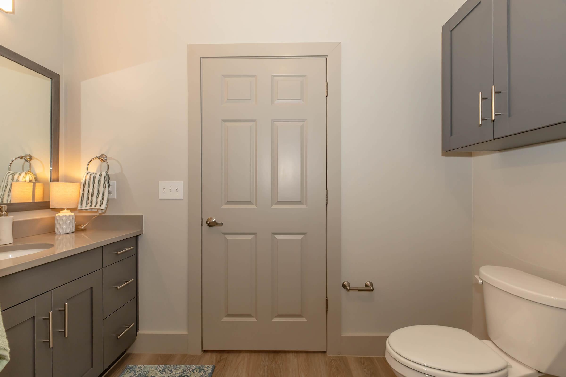 A modern bathroom featuring a light-colored wall, a gray vanity with a light fixture, a mirror, and a towel rack. A closed door is visible, and next to it, a toilet is placed. The floor has wooden planks, and a small decorative rug is present. Overall, the space appears clean and contemporary.