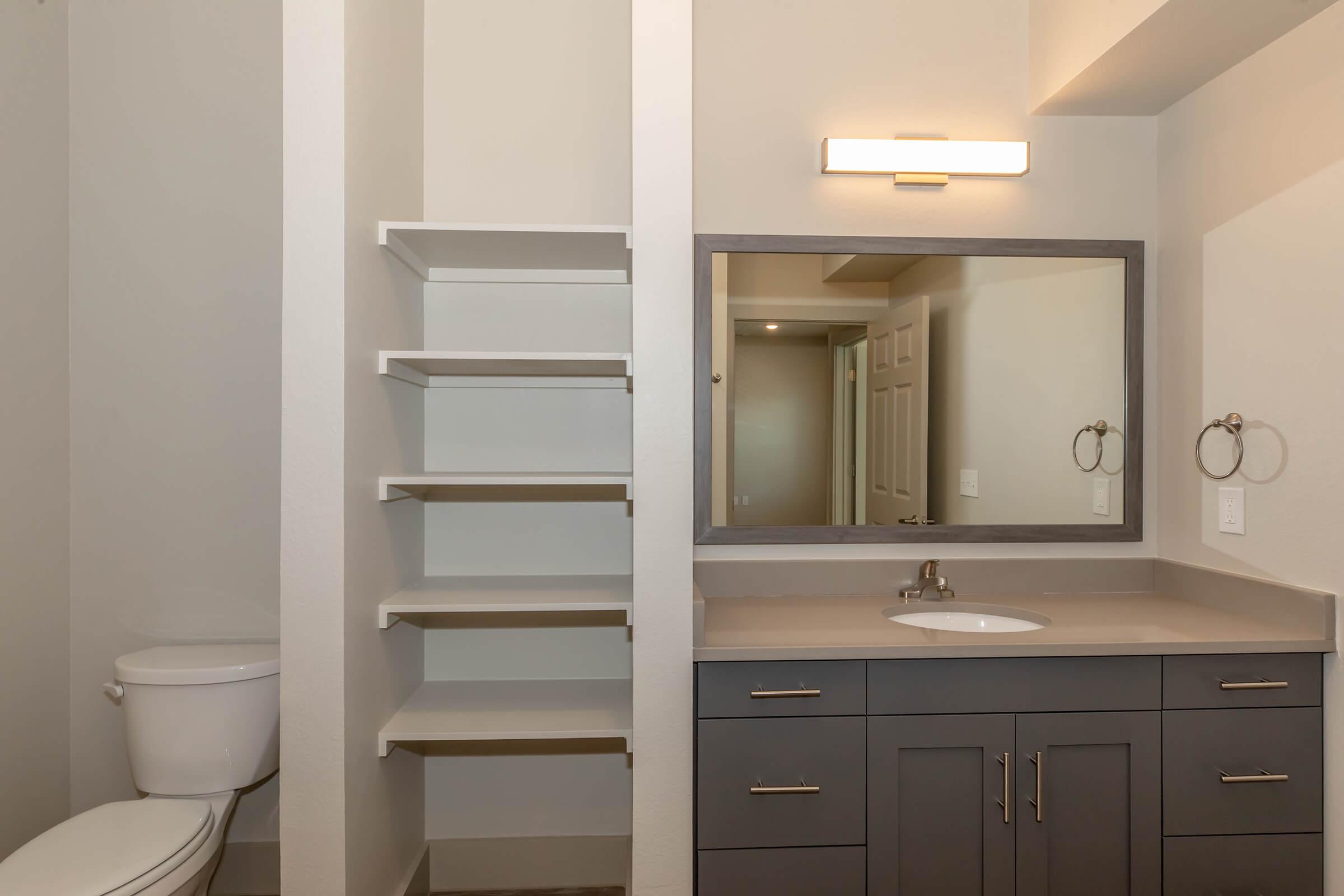 A modern bathroom featuring a toilet, a large mirror above a sink with a sleek faucet, and dark cabinetry. There are open shelves on one side for storage. The walls are light-colored, and a light fixture is mounted above the mirror, illuminating the space.