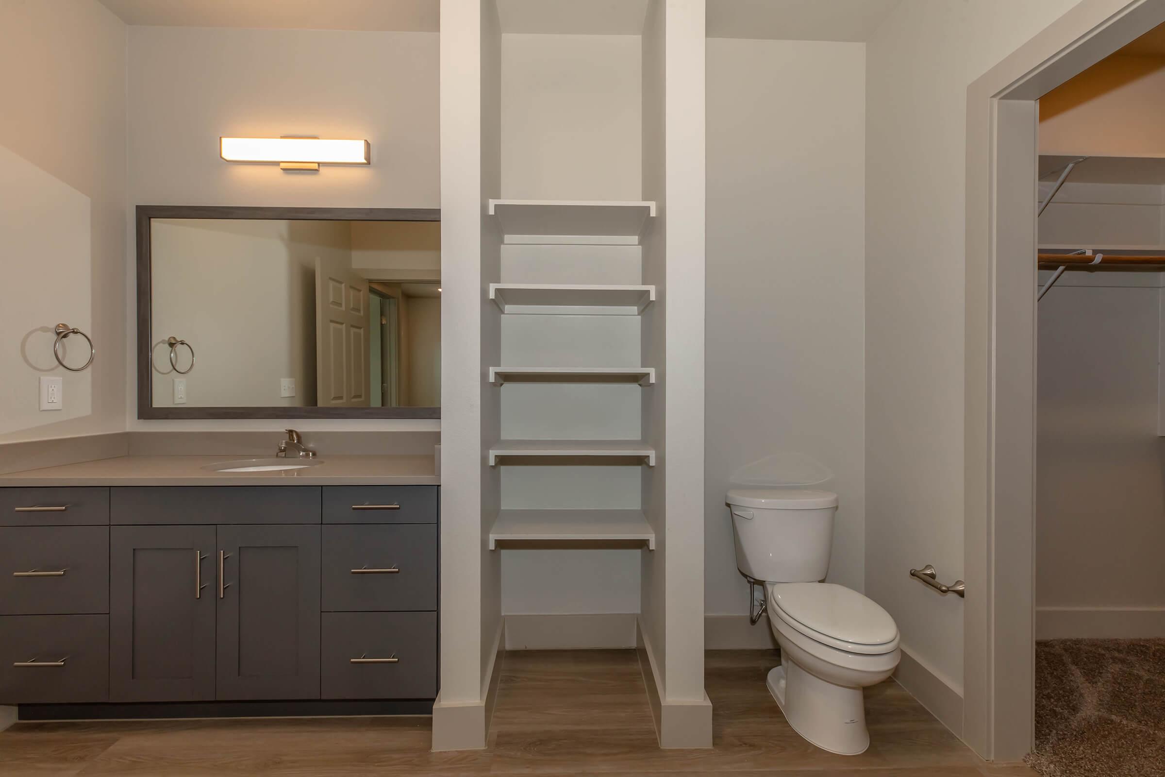 A modern bathroom featuring a gray vanity with a sink and mirror, shelves for storage, a white toilet, and a door leading to a closet. The space has neutral-colored walls and wood-like flooring, with a contemporary light fixture above the mirror.