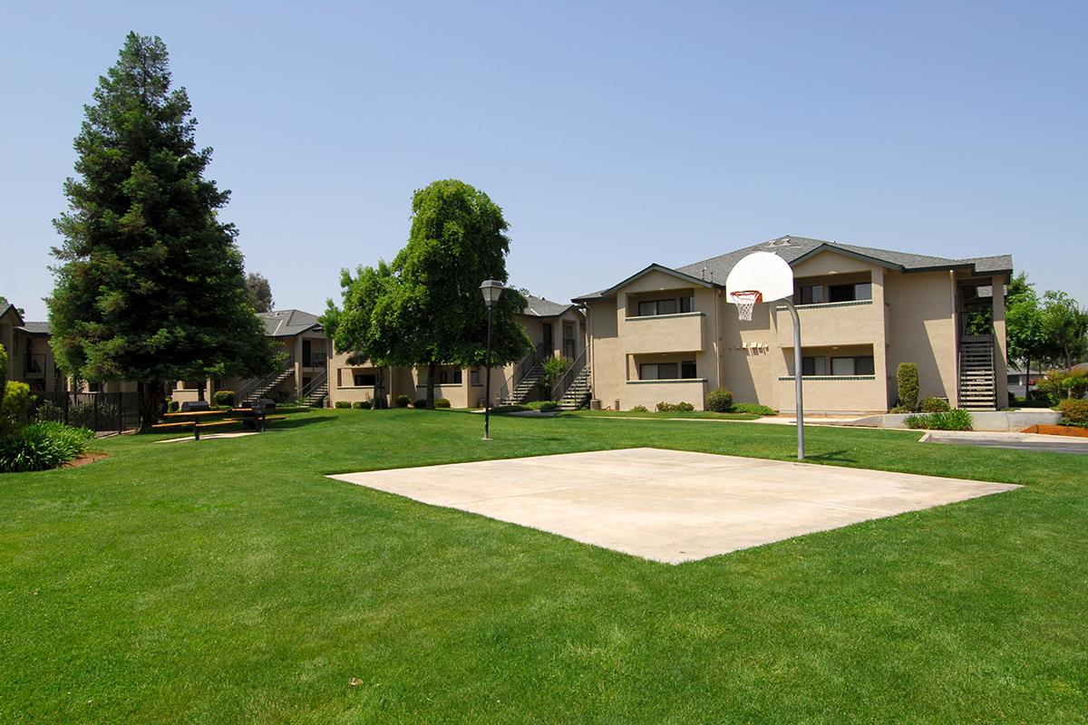 Papillon has a basketball court