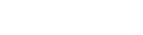 Papillon ebrochure logo