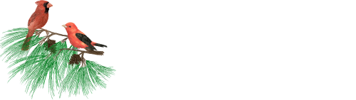 Townhomes at Woodlands Edge ebrochure logo