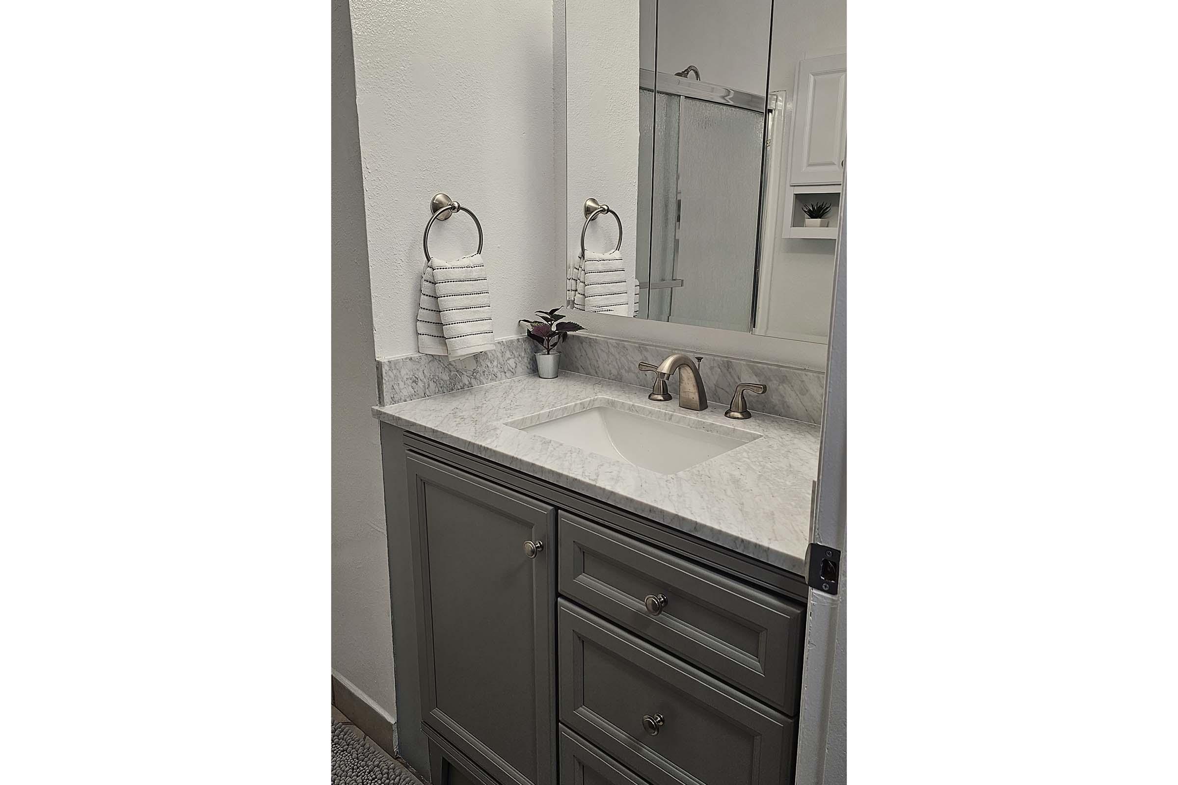 a sink and a mirror