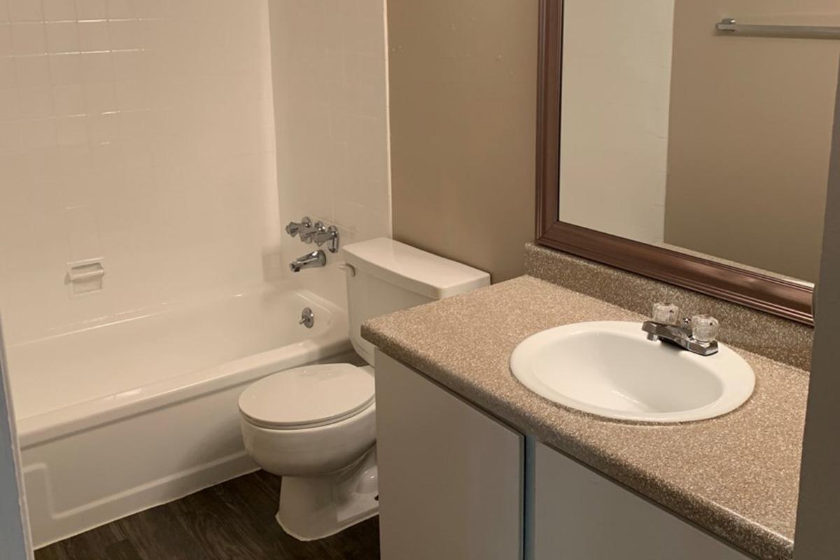a sink and a mirror