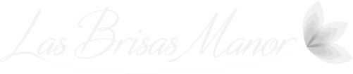Las Brisas Manor Apartments ebrochure logo