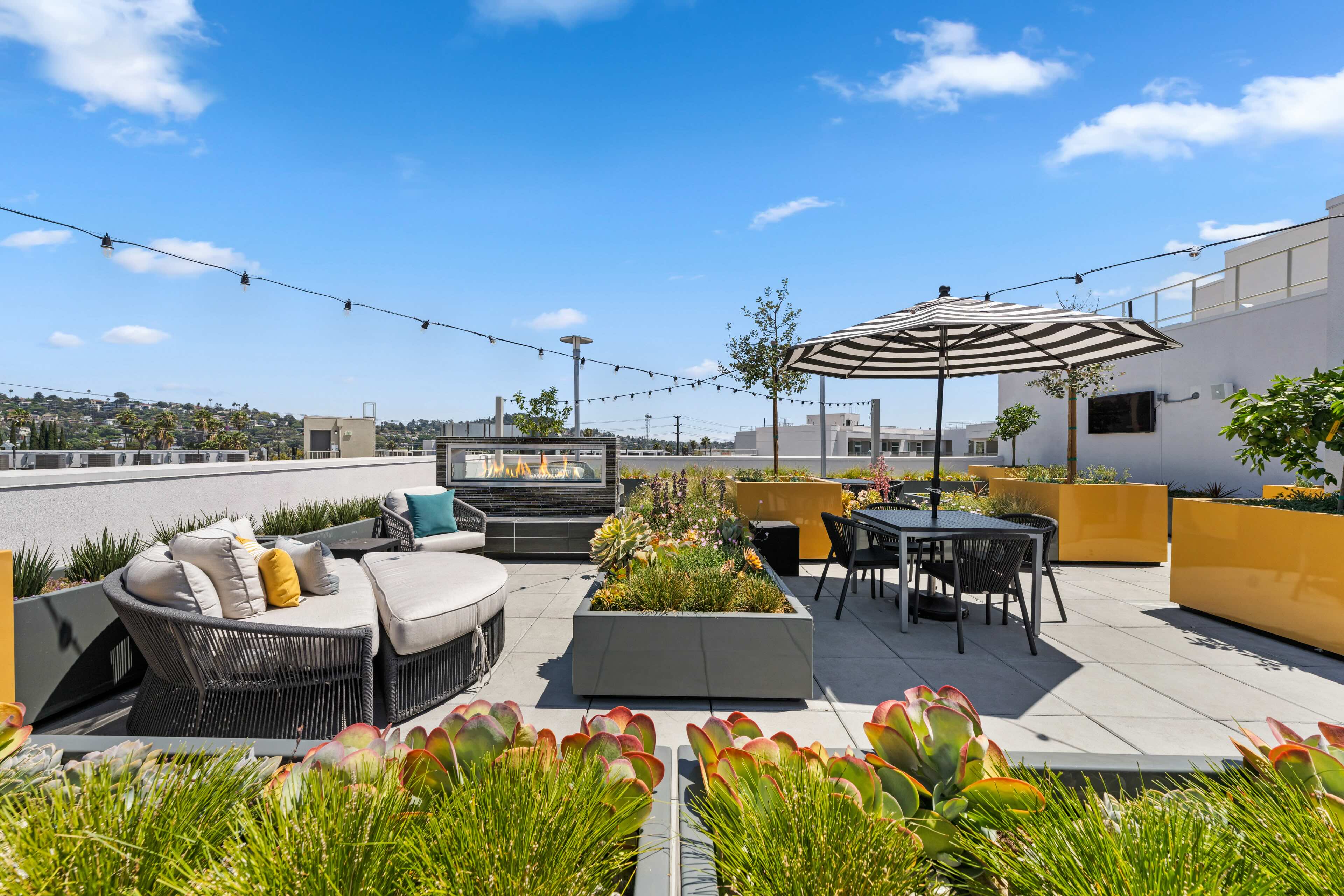 Community Amenities