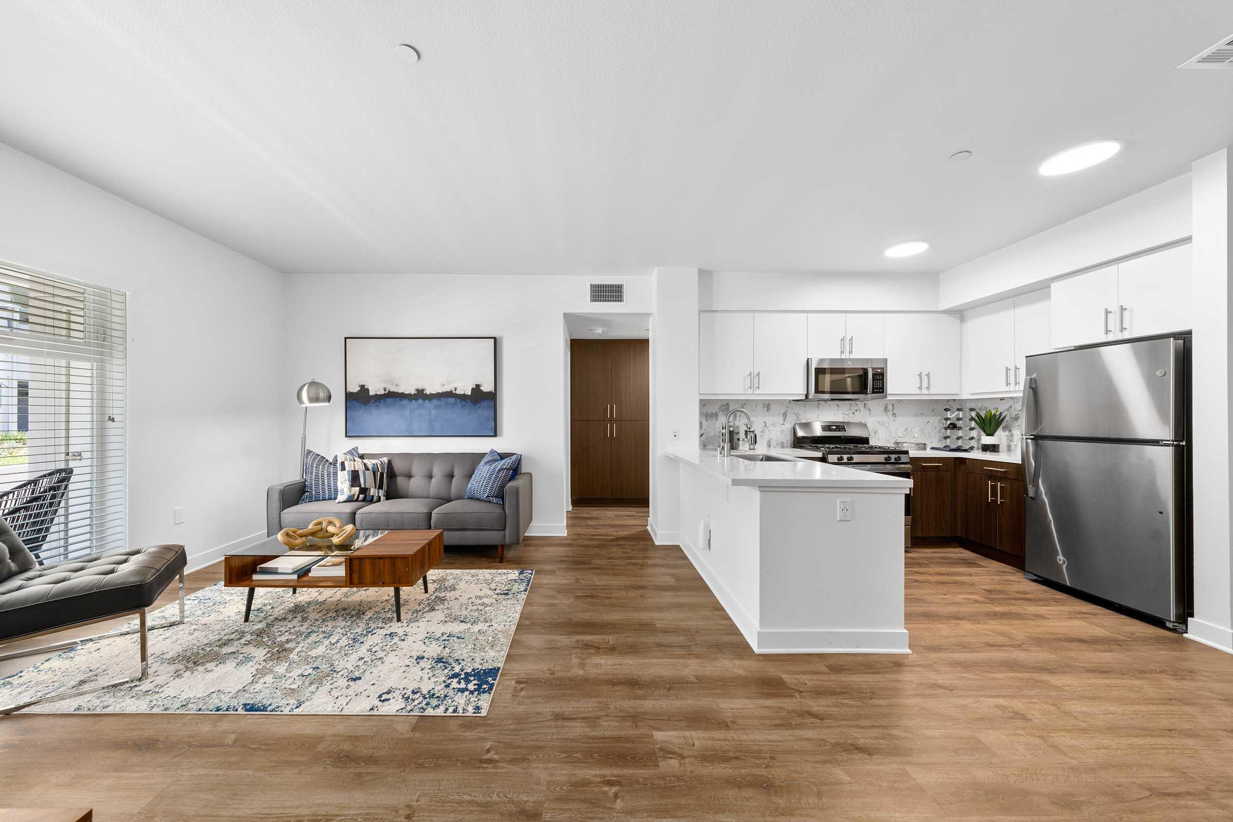 an apartment kitchen and living room