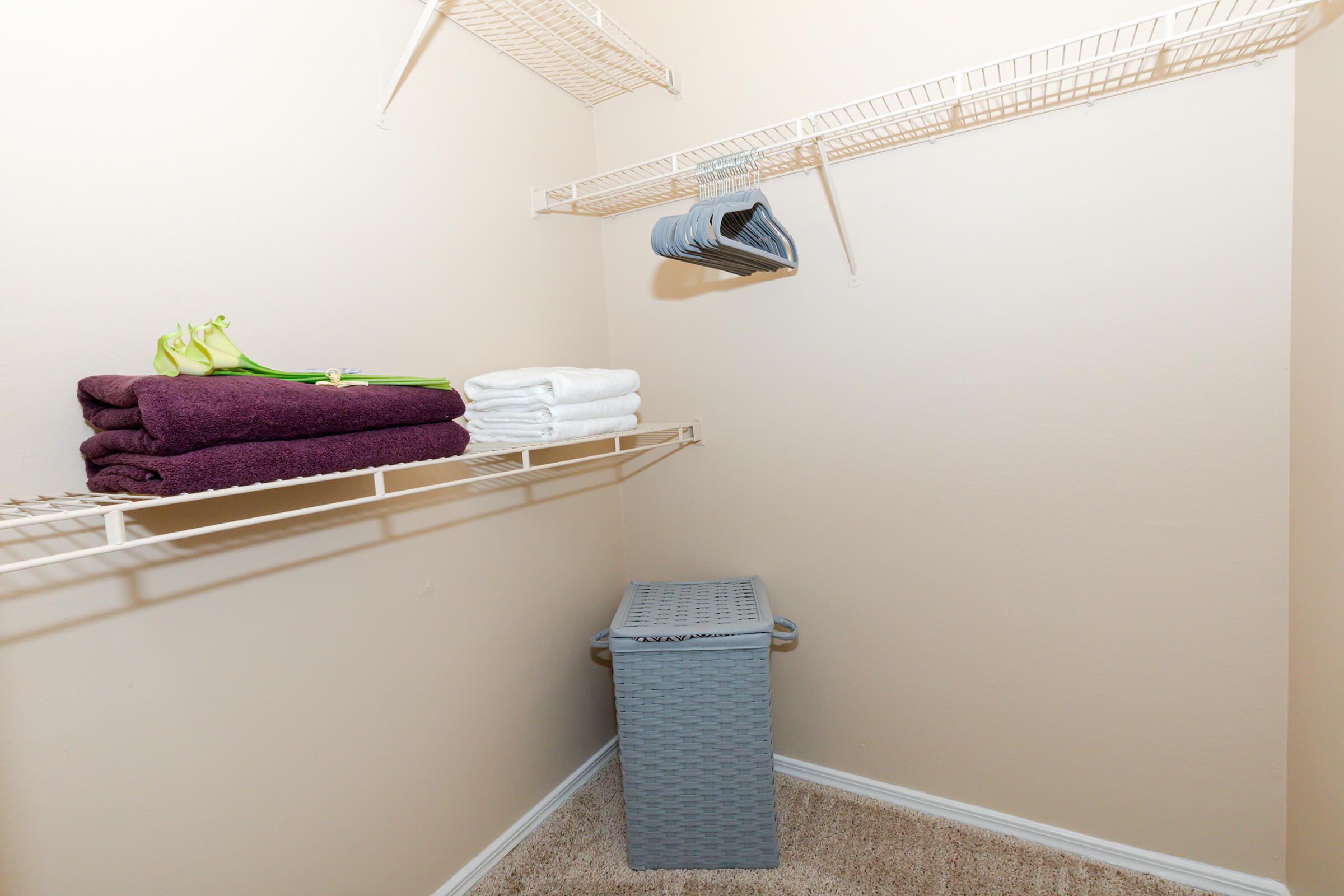 furnished walk-in closet