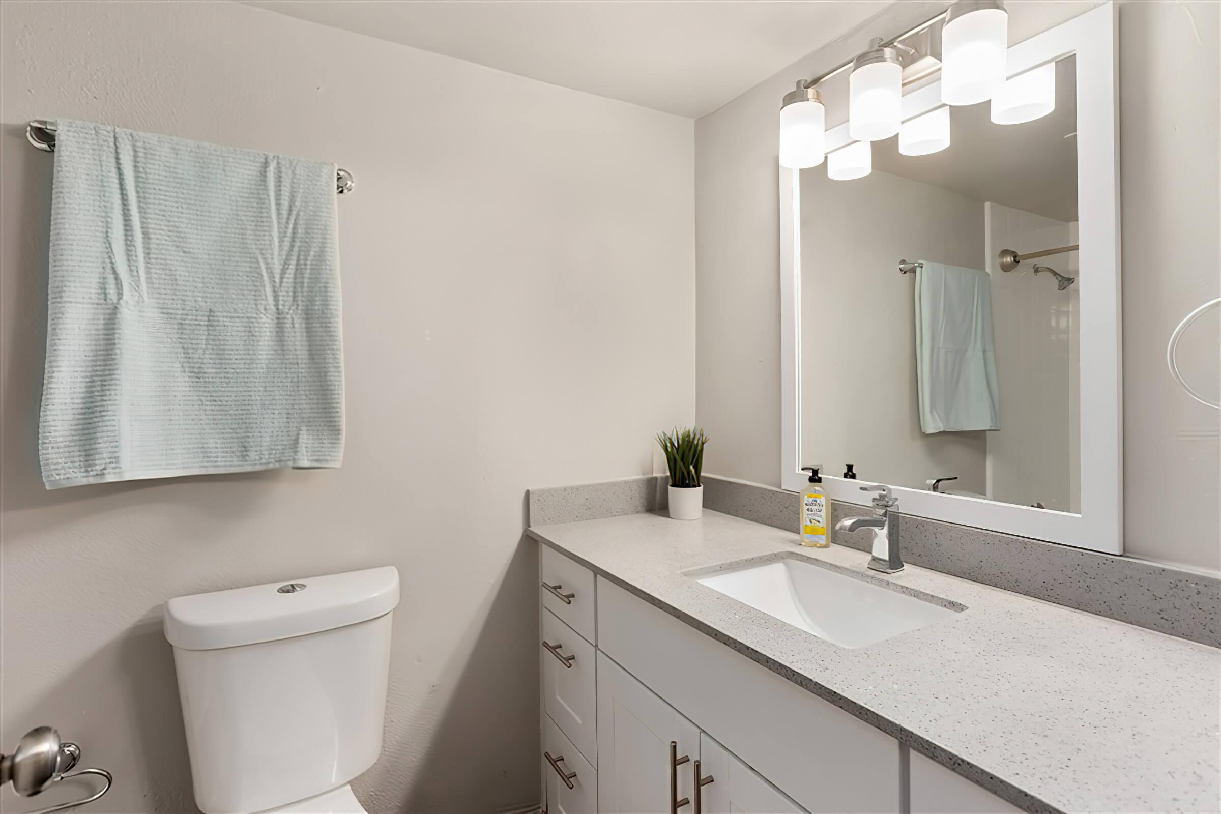 Renovated modern bathroom