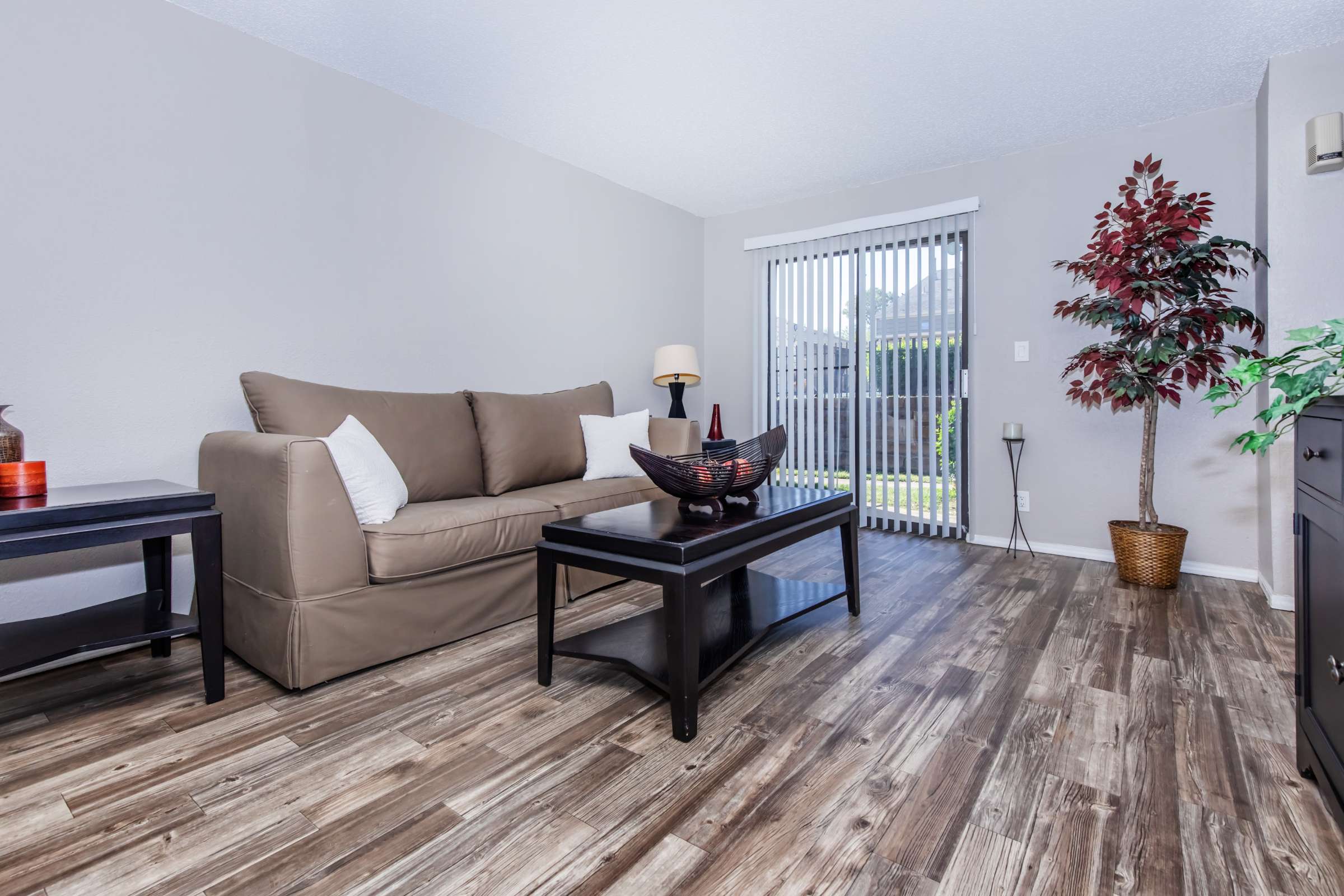 Apartment Features