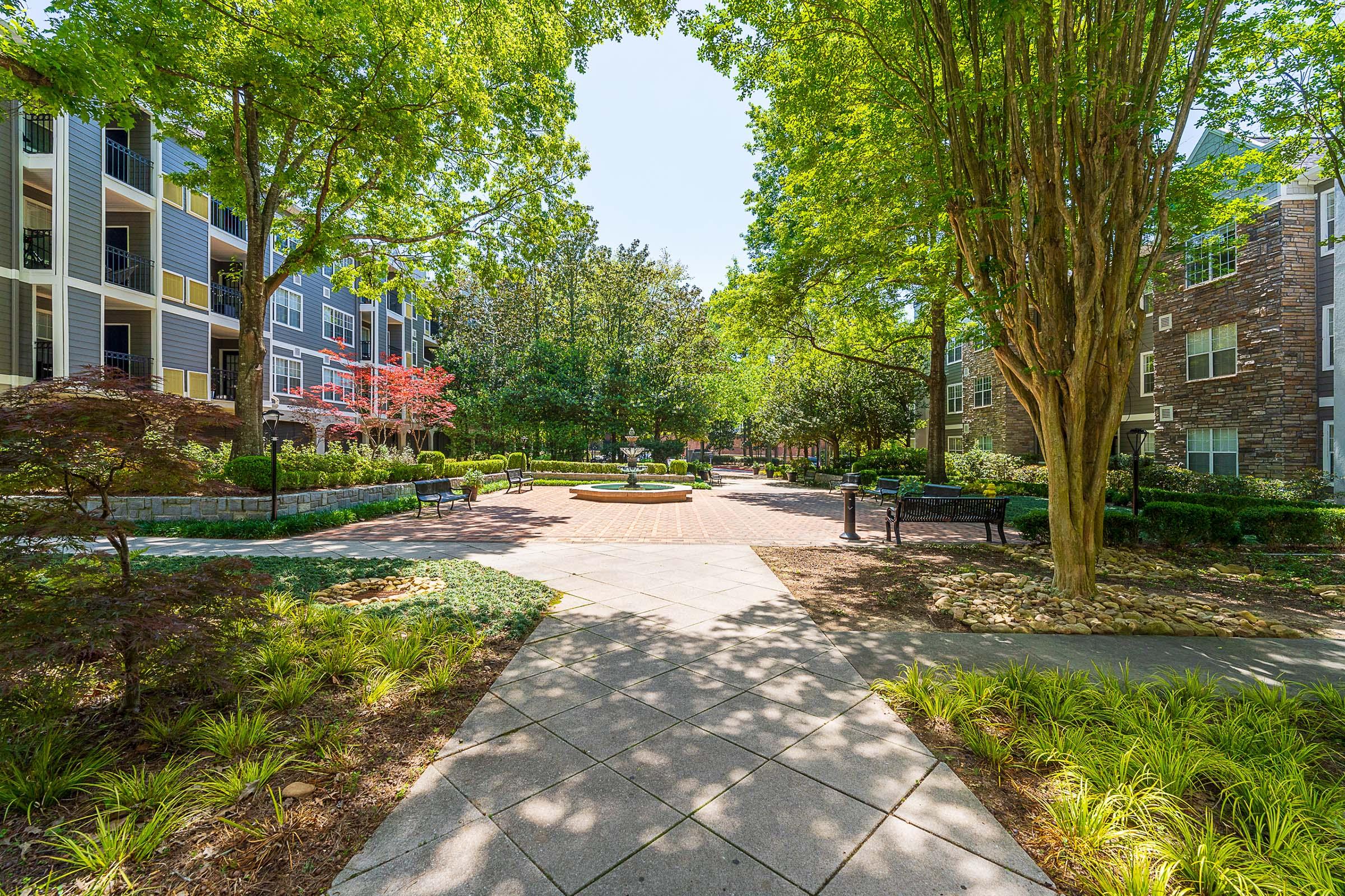 a path with trees on the side of the street