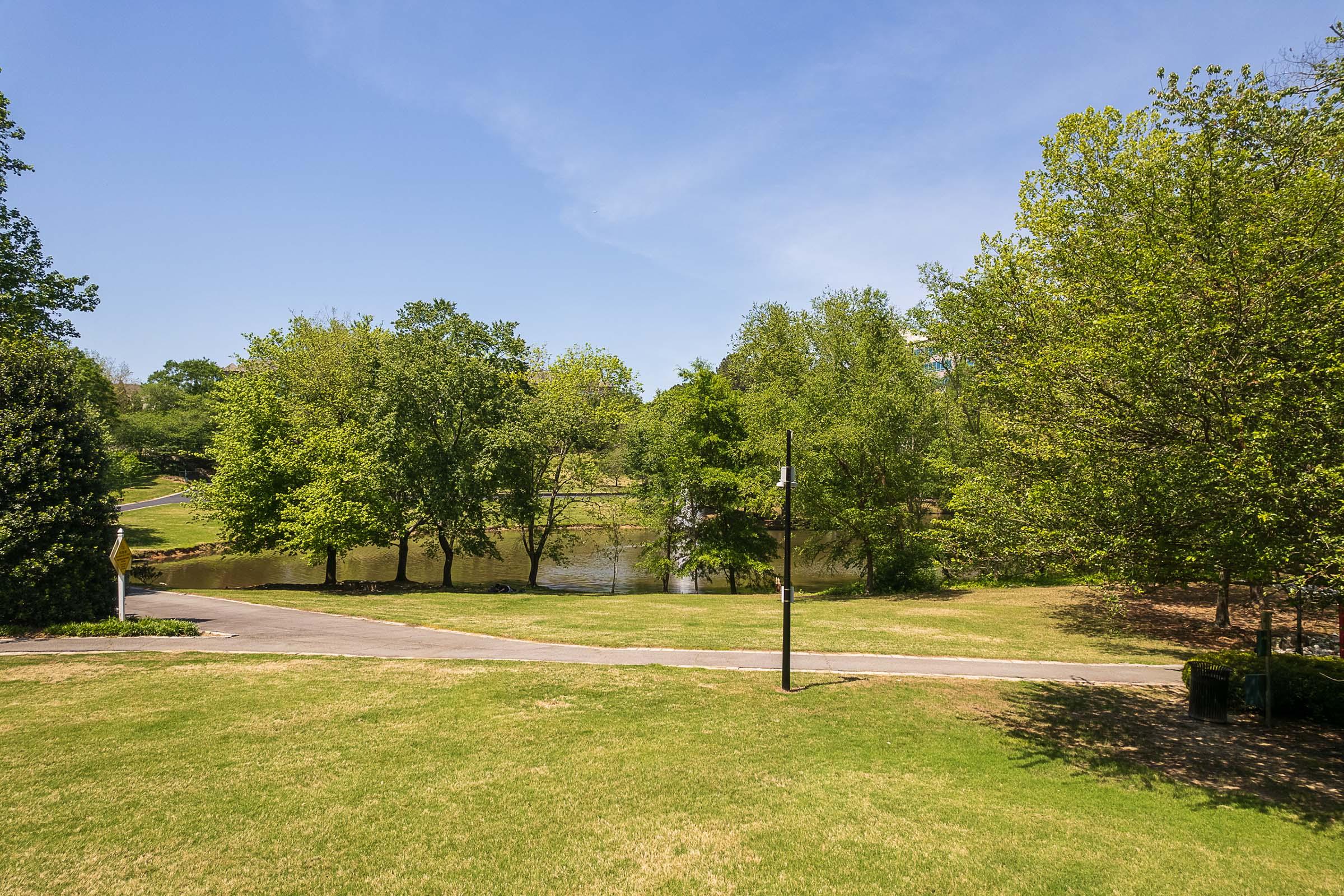 a tree in a park