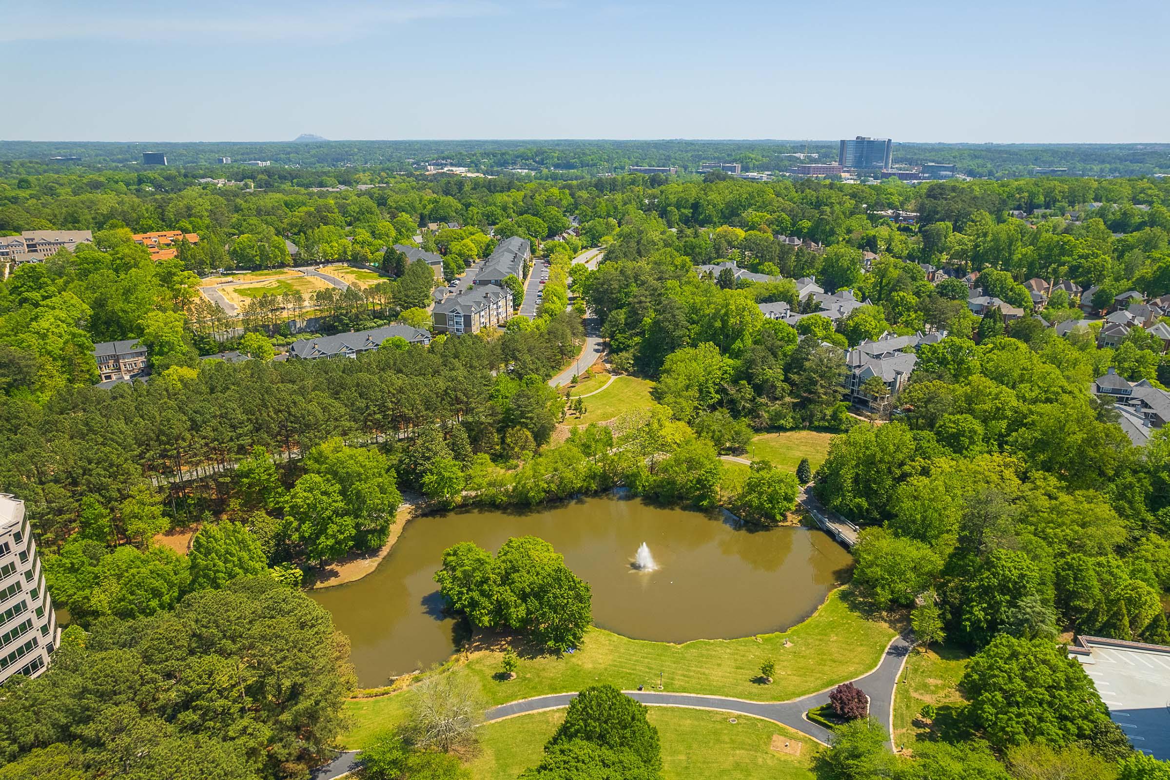 a garden with water in the background