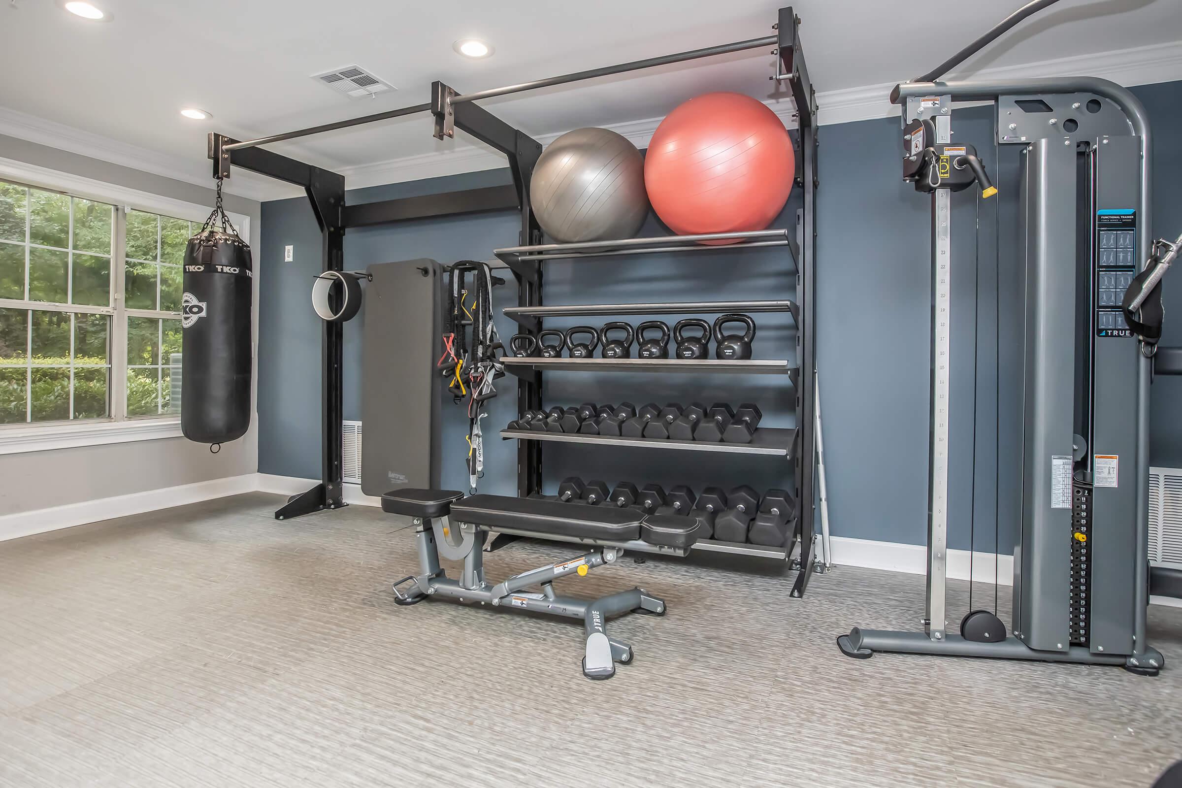 A well-equipped home gym featuring a weight bench, multiple dumbbells on a rack, exercise balls, a punching bag, and a multi-station workout machine. The room has large windows allowing natural light to enter, with a neutral-colored carpet and blue walls.