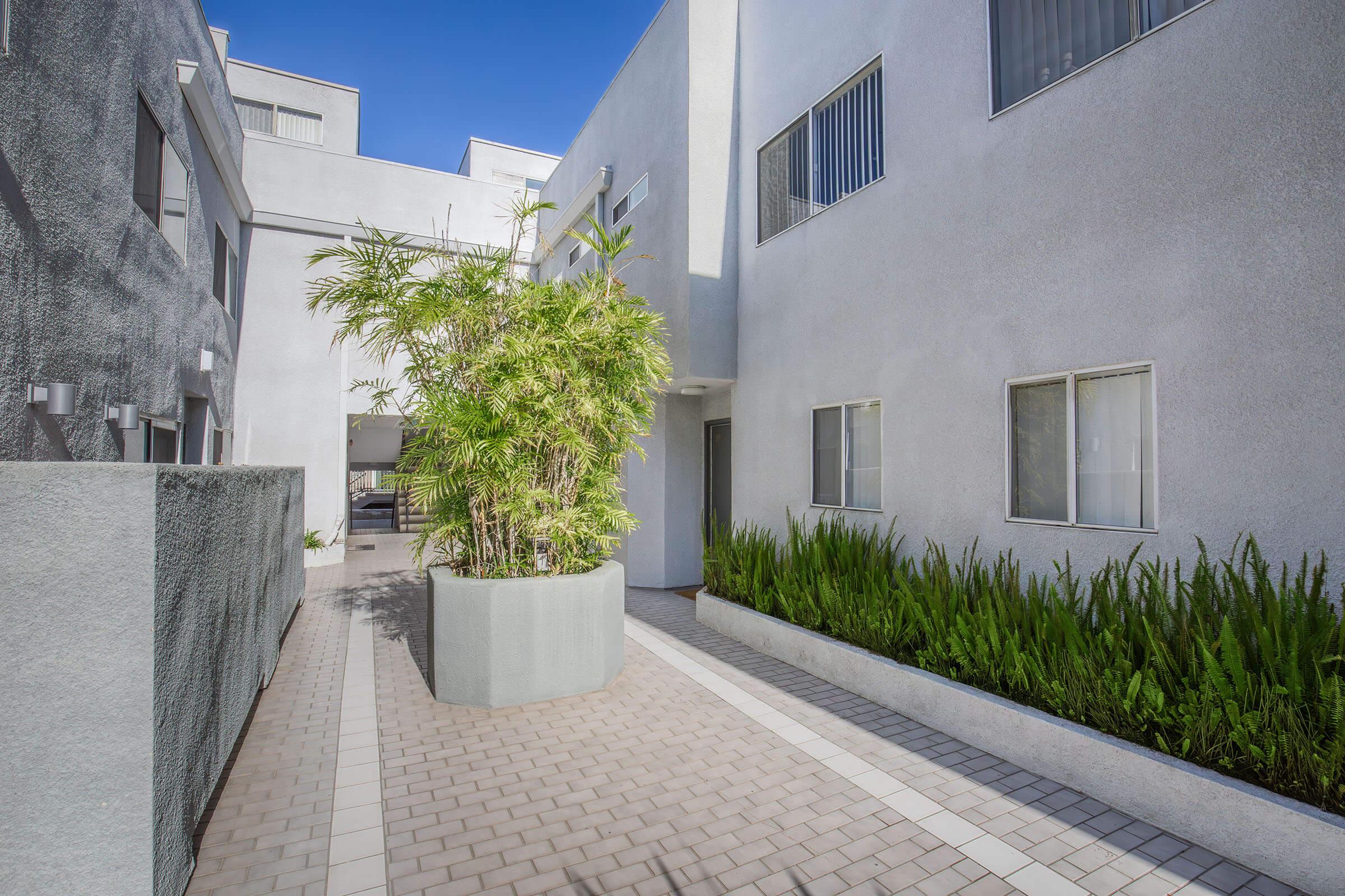 Narrow pathway bordered by modern buildings, featuring a large planter with palm plants and green ferns. The clear blue sky is visible above, creating a bright and inviting atmosphere. The area is well-maintained, with neat paving and a clean, minimalist design.
