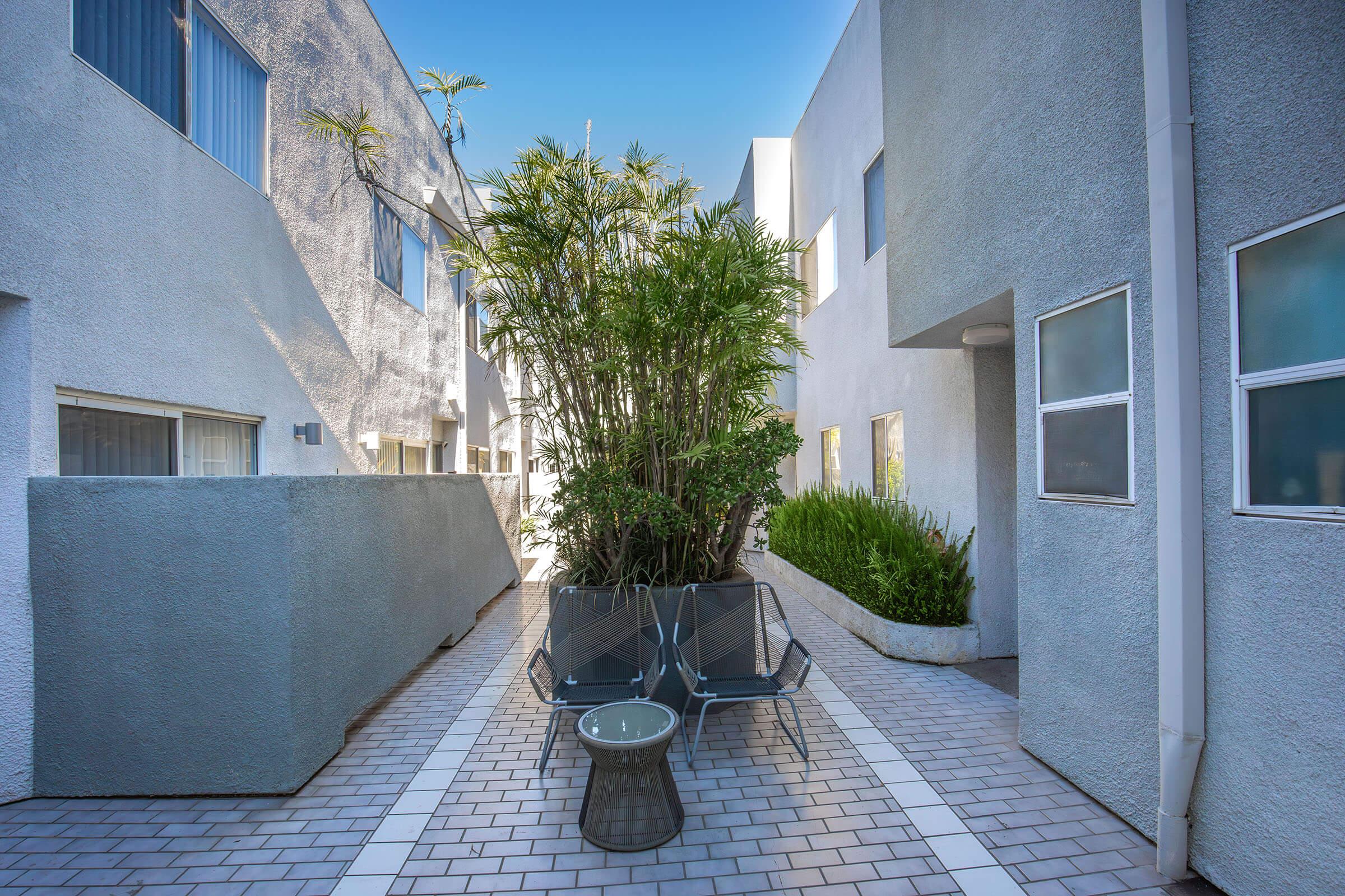A quiet outdoor space featuring a narrow pathway between two modern buildings. Lush greenery, including a large bamboo plant, is displayed in a planter, alongside a small round table and two chairs. Bright sunlight illuminates the area, creating a serene atmosphere.
