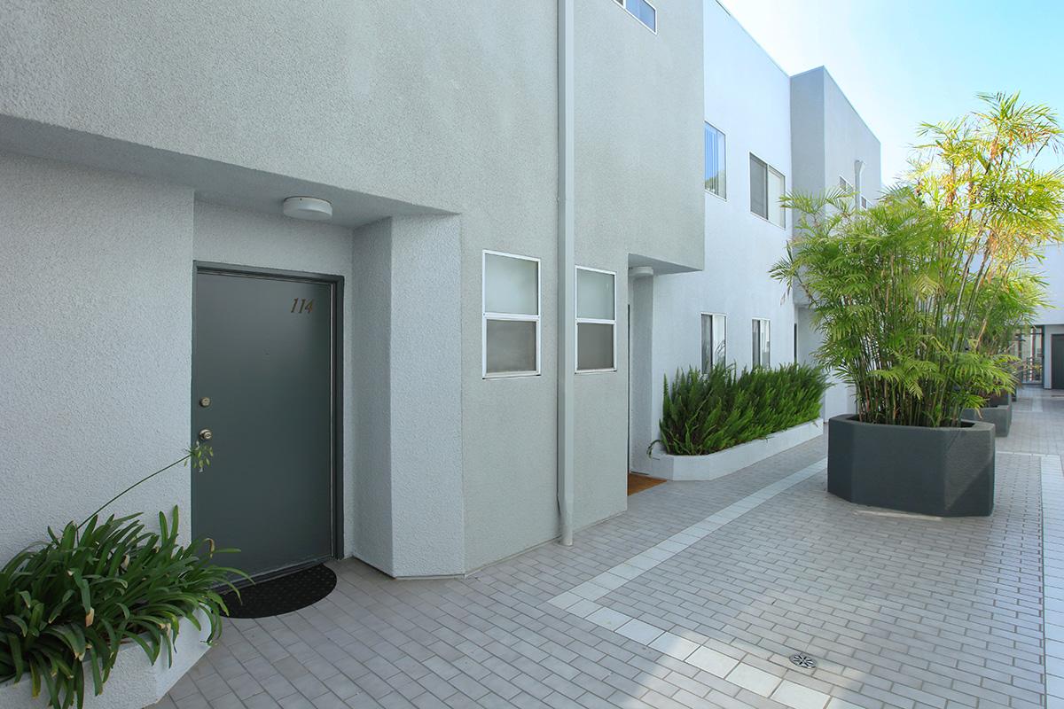 a large white building surrounded by palm trees