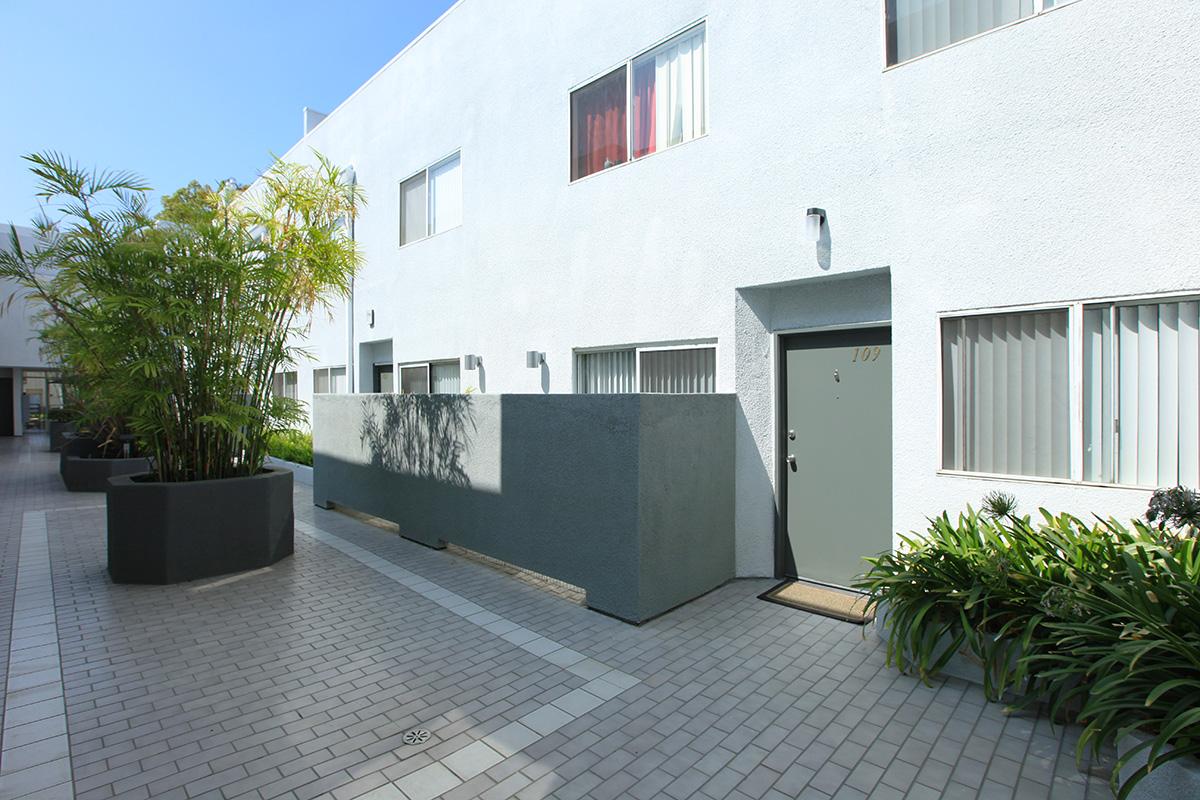 a palm tree in front of a house