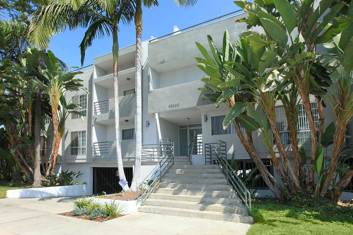 a palm tree in front of a building