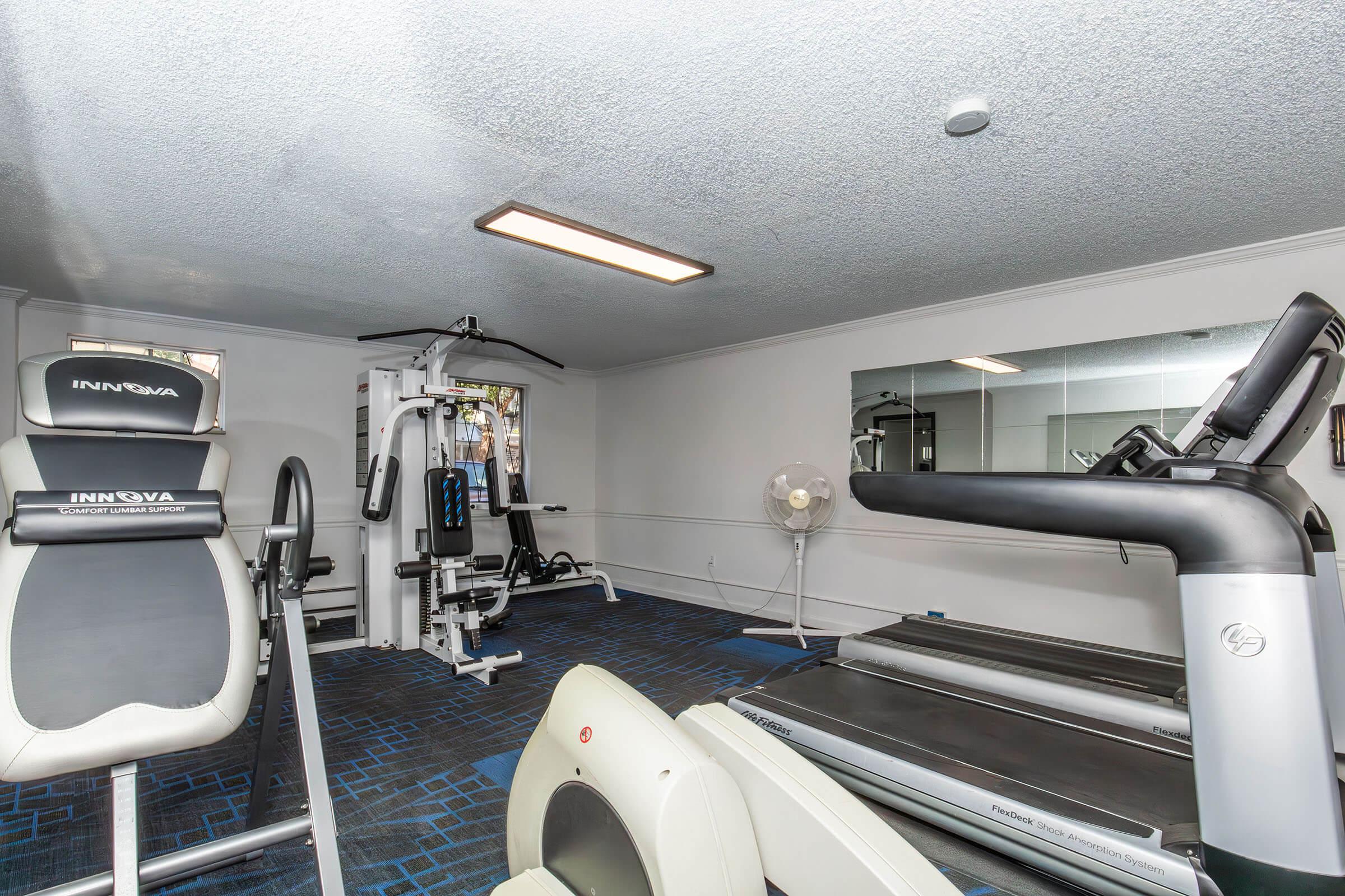 A well-equipped fitness room featuring a treadmill, strength training machine, and an exercise bike, alongside a fan and a mirror. The floor is covered with blue carpeting, and soft lighting creates a welcoming atmosphere for workouts.
