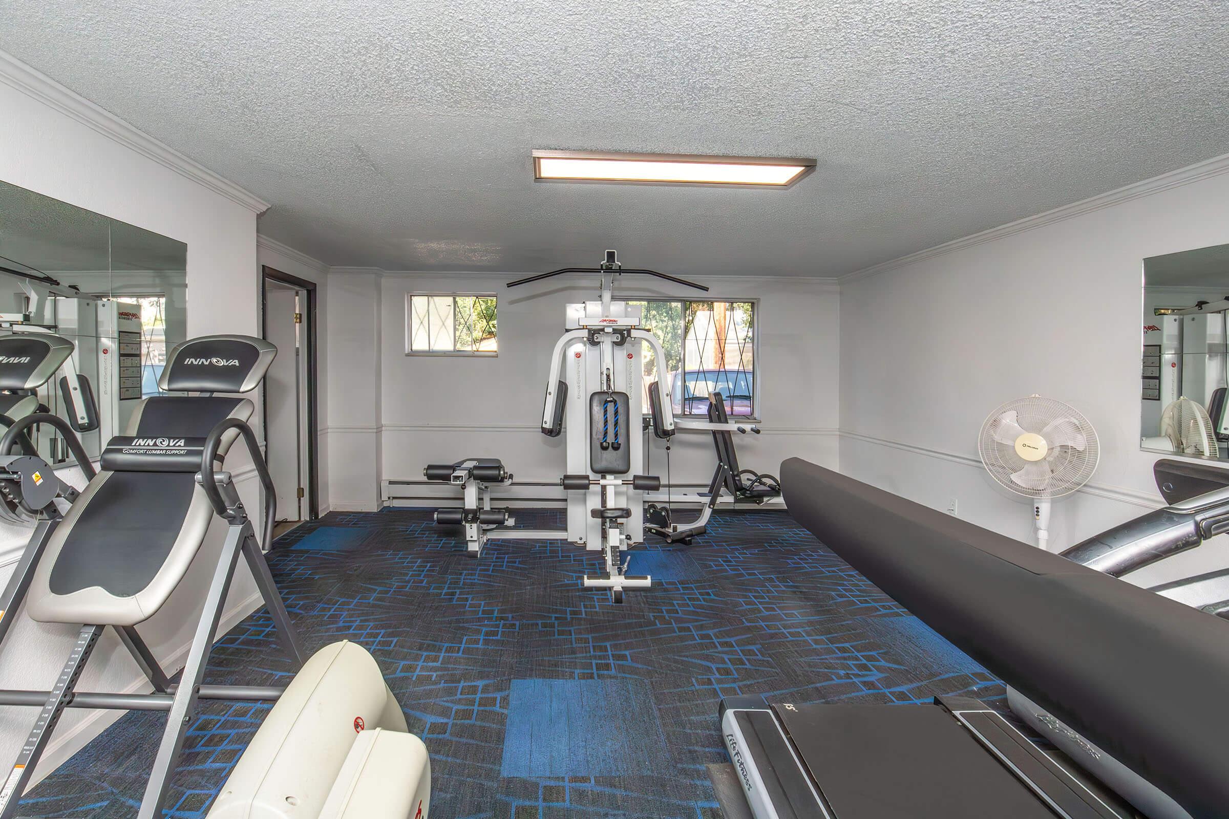 A well-equipped gym space featuring exercise machines, including a treadmill and multi-station workout equipment. The room has mirrors on the walls, blue carpet with a geometric pattern, and a ceiling light to brighten the area. A fan is positioned to provide ventilation.