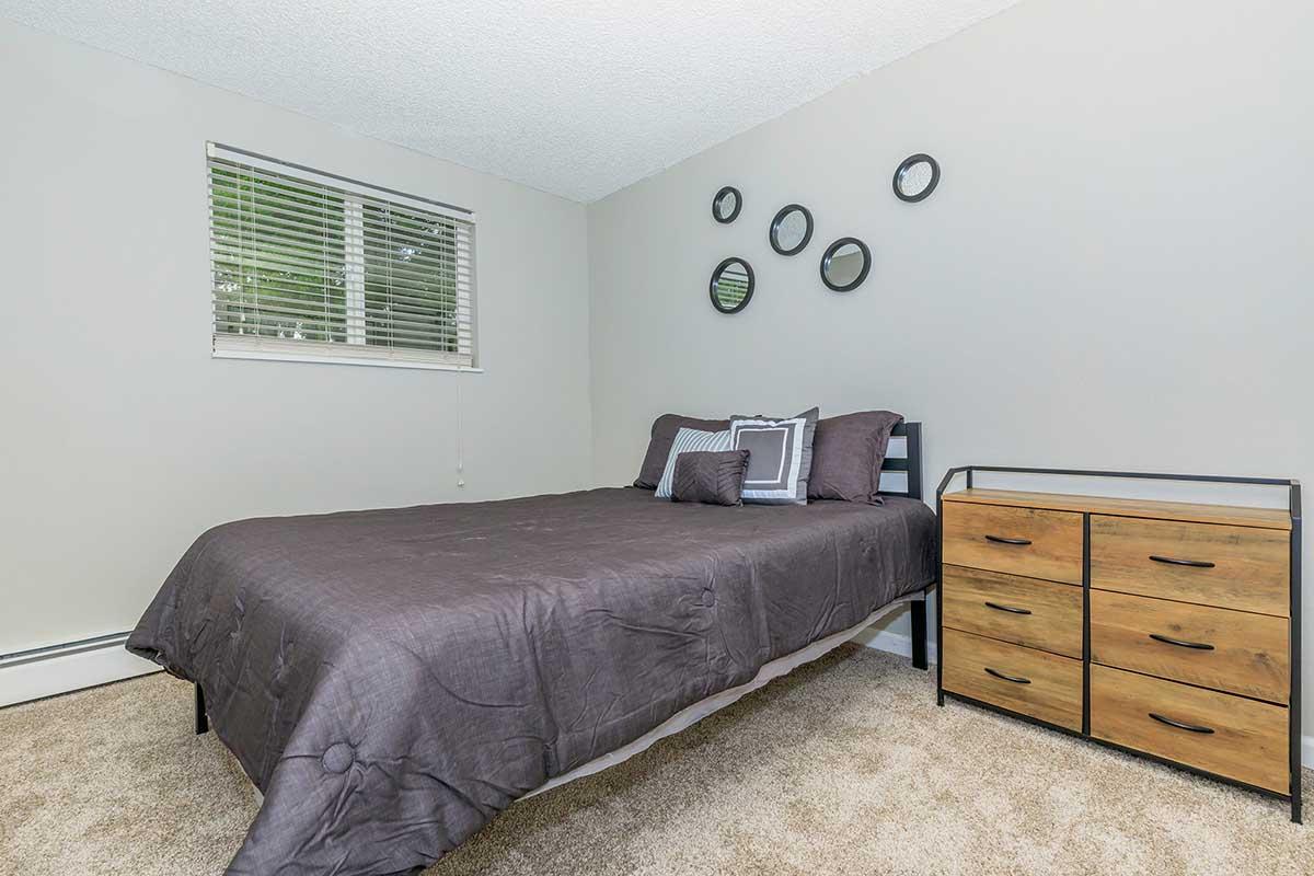 SLV Classic 1_1.jpeg