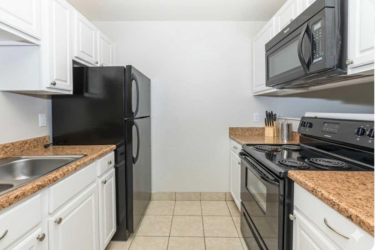 SLV Renovated 1_1 Kitchen.jpeg