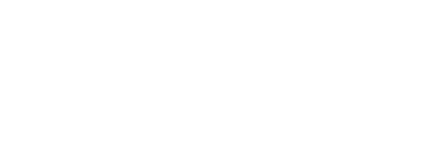 The Shores at Lakeview ebrochure logo