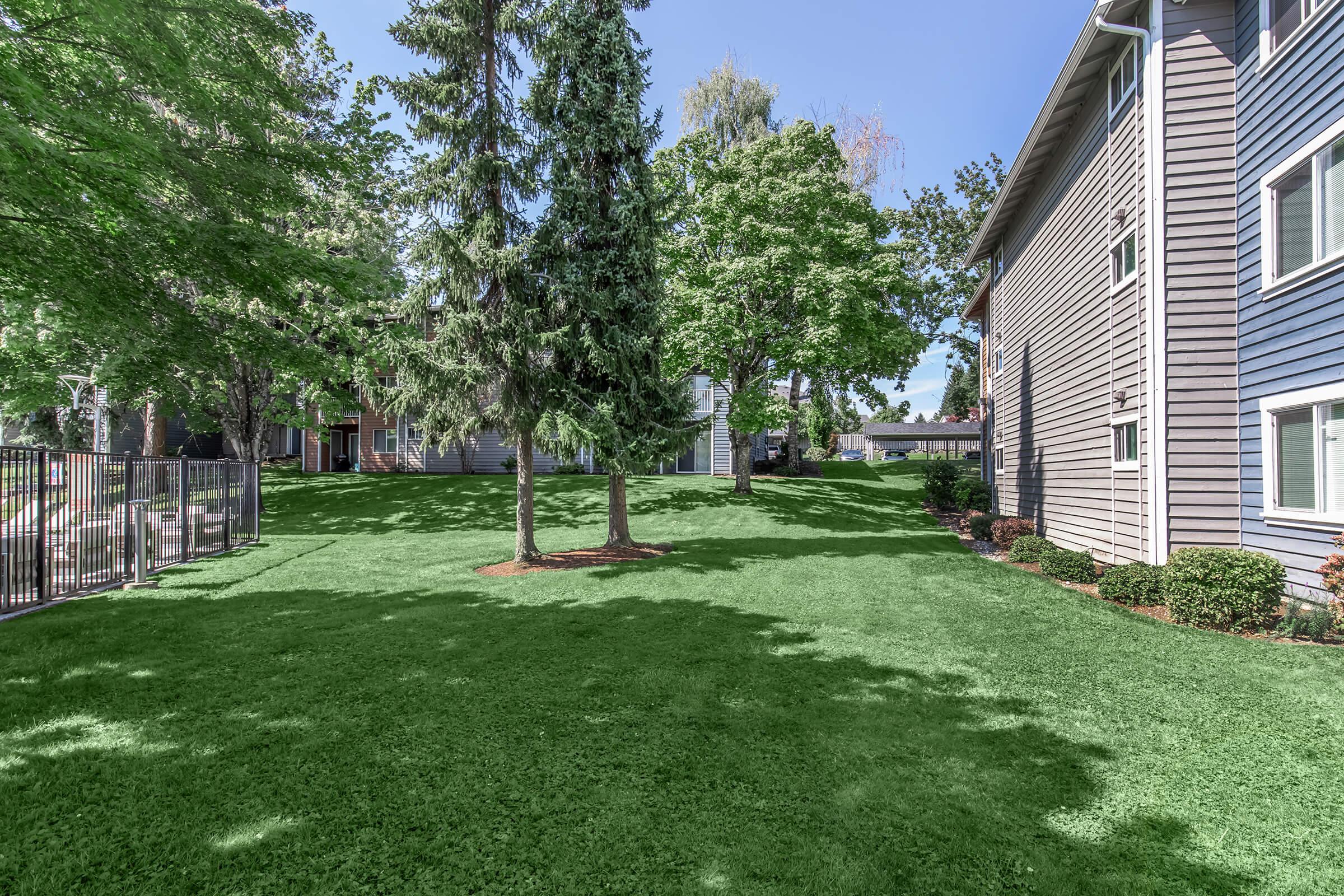 A spacious lawn with vibrant green grass, bordered by trees and shrubs. In the background, there are several buildings, including a larger one with gray siding. A fence encloses part of the yard, providing a clear, sunny day ambiance and a well-maintained landscape suitable for outdoor activities.
