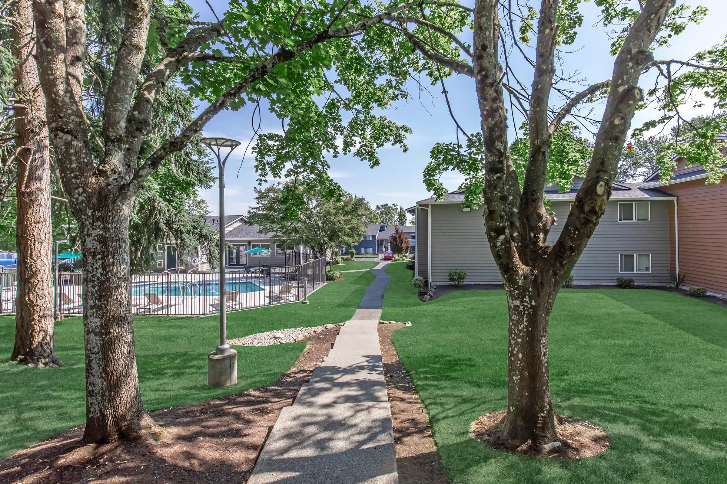 Pathway between trees leading to a swimming pool area, with green grass and landscaped surroundings. The scene is sunny with a clear sky, showcasing residential buildings on either side.