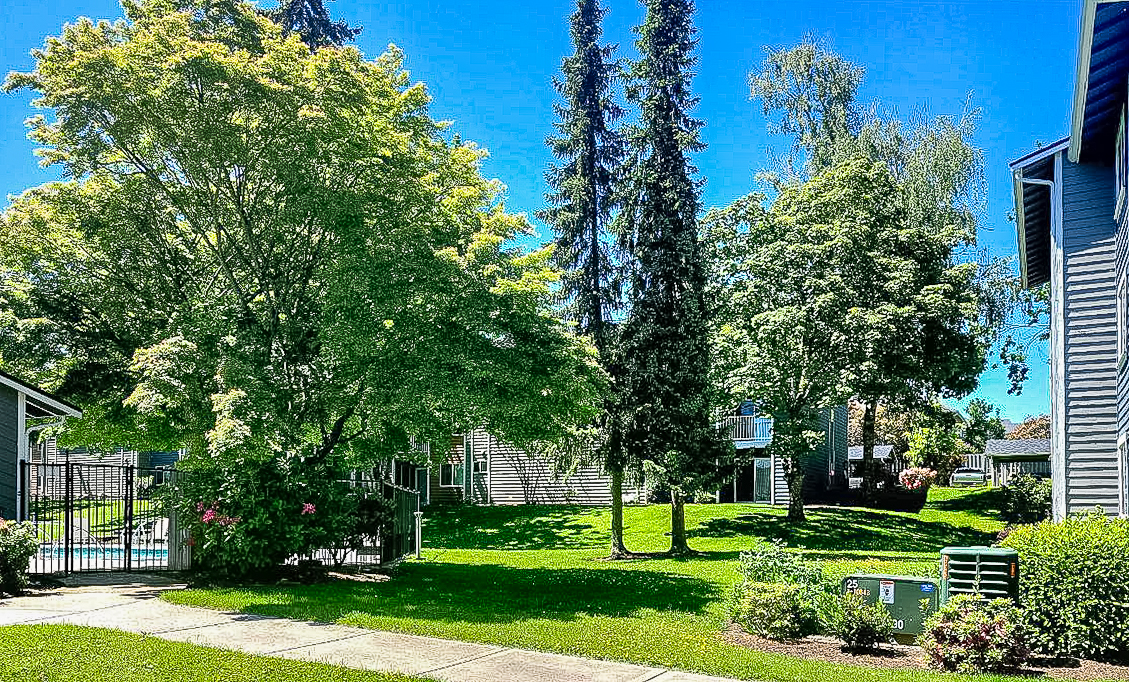 A sunny residential area featuring lush green lawns and trees. In the background, there are several buildings with multiple stories. A fenced area is visible near a pool. The sky is clear and blue, enhancing the vibrant greenery of the scene.