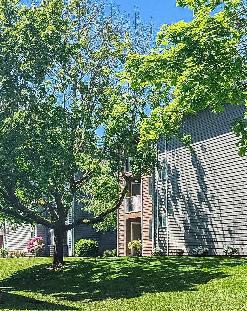 A sunny outdoor scene featuring lush green trees and vibrant landscaping. In the background, residential buildings are visible with gray siding and balconies. The sunlight casts shadows on the grassy lawn, creating a serene and inviting atmosphere.