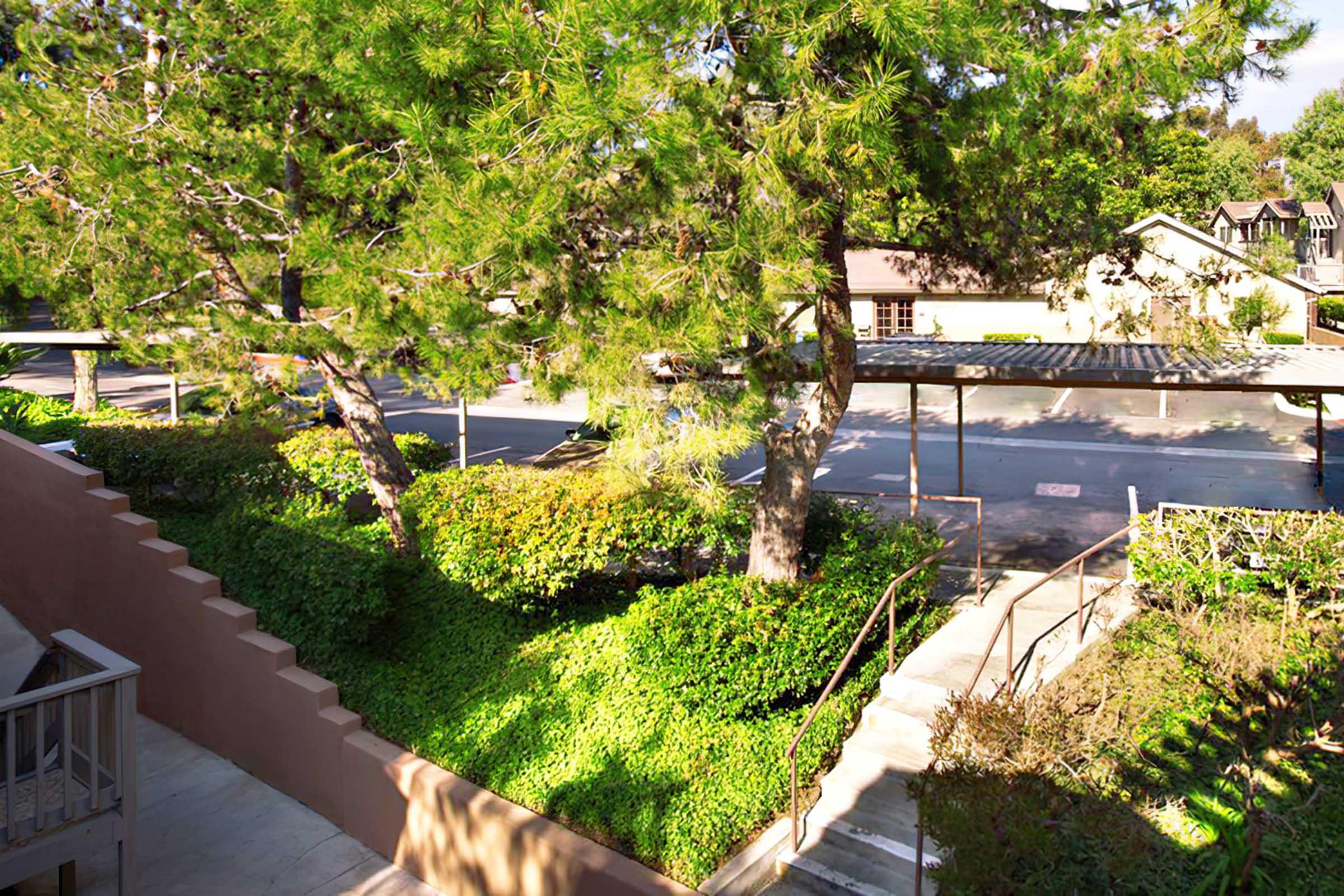 A view of a landscaped area with lush green shrubs and trees. There are several parking spaces visible under covered structures in the background, with a few buildings partially visible. The scene is bright and inviting, showcasing a harmonious blend of nature and architecture.