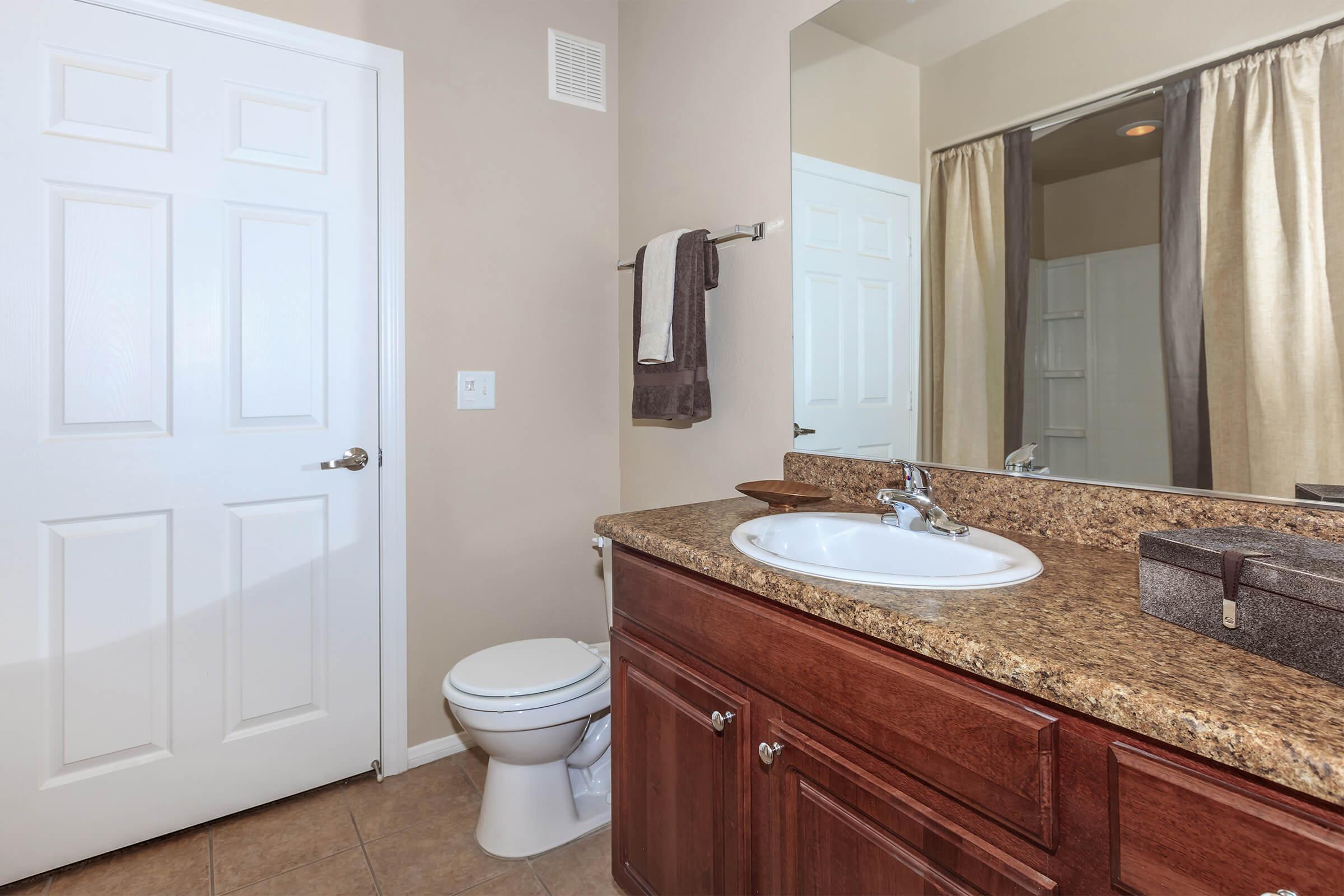 a double sink and large mirror