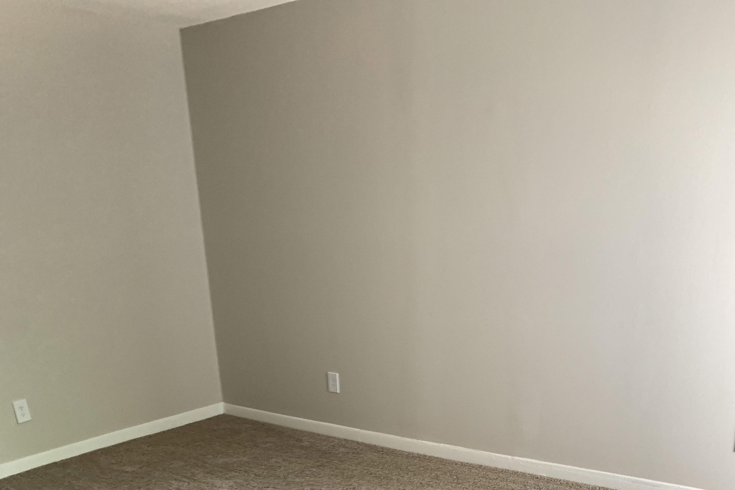 Empty room with light gray walls and a tan carpet. There are two electrical outlets on the wall, and the space appears to be freshly painted and unfurnished. The lighting is soft, creating a neutral and clean atmosphere.