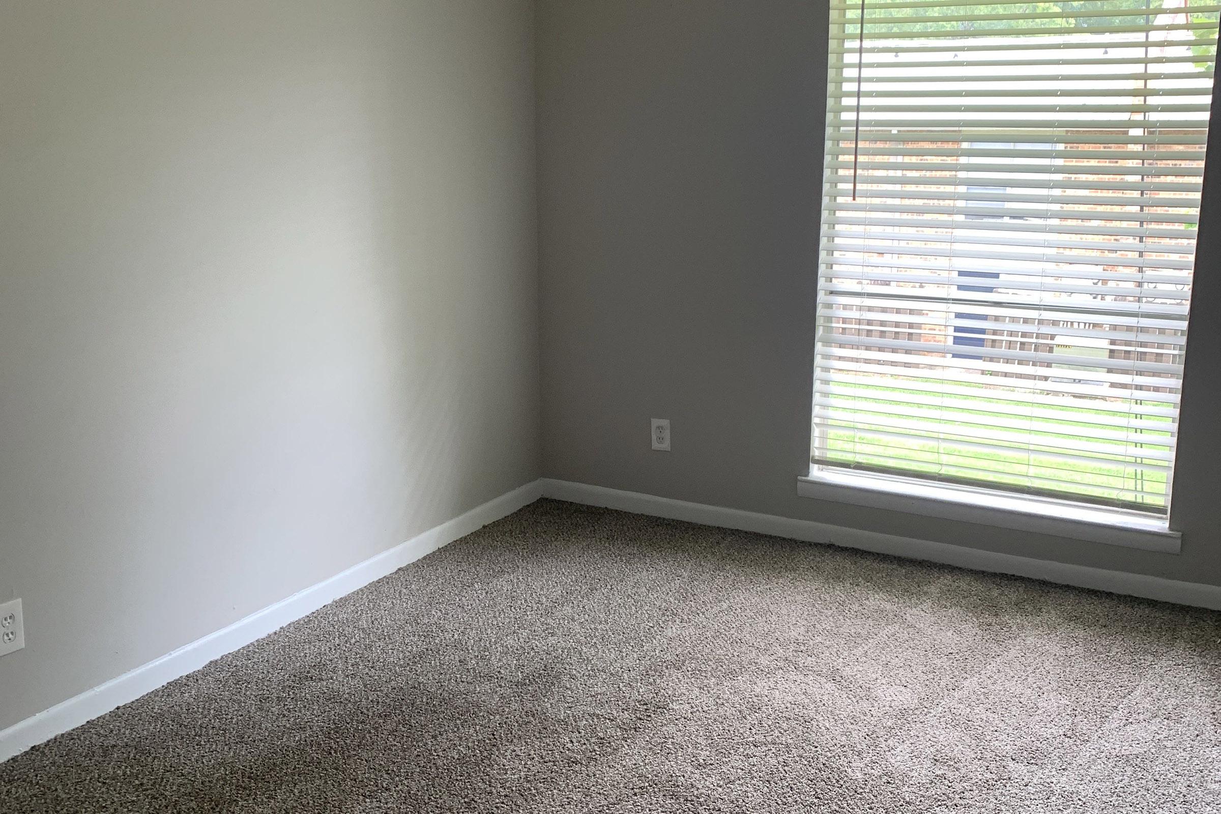Empty room with light gray walls and carpeted flooring. A window with white blinds lets in natural light, revealing green grass and a glimpse of the outdoors. The room has no furniture, creating a spacious and minimalistic atmosphere.